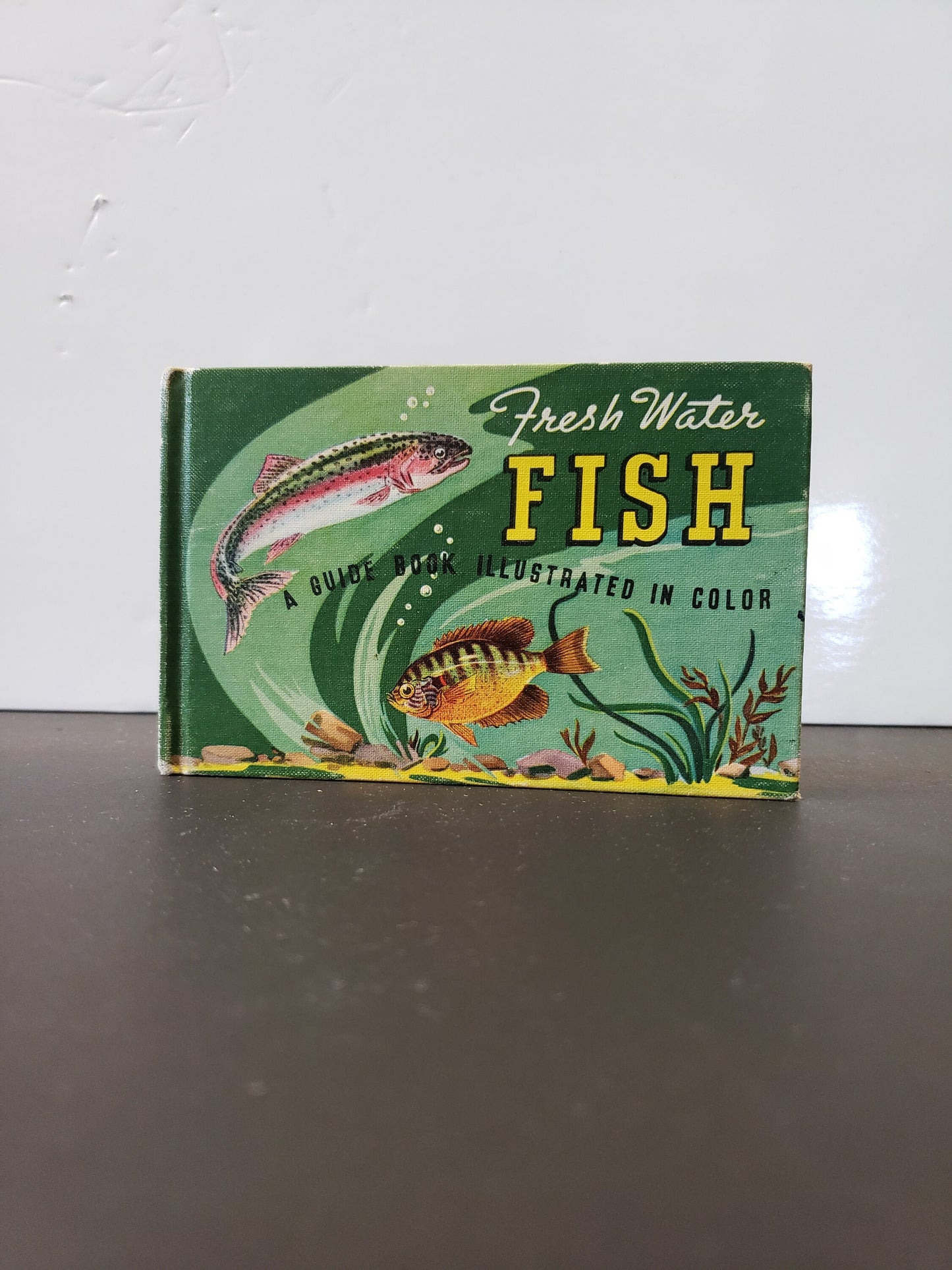 Vintage Fresh Water Fish Book