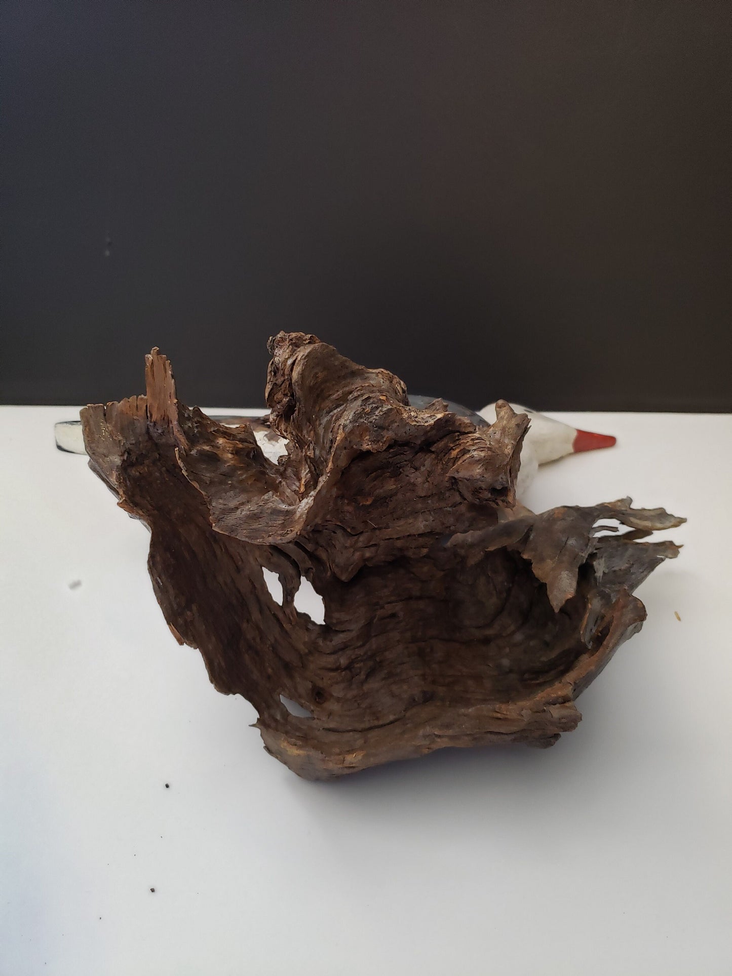 Rare Folk Art Seagull on Driftwood