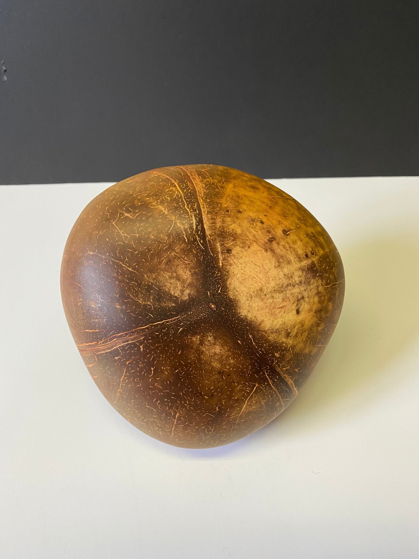 A 7 inch Chinese coconut and bronze bowl Antique simple and delightful