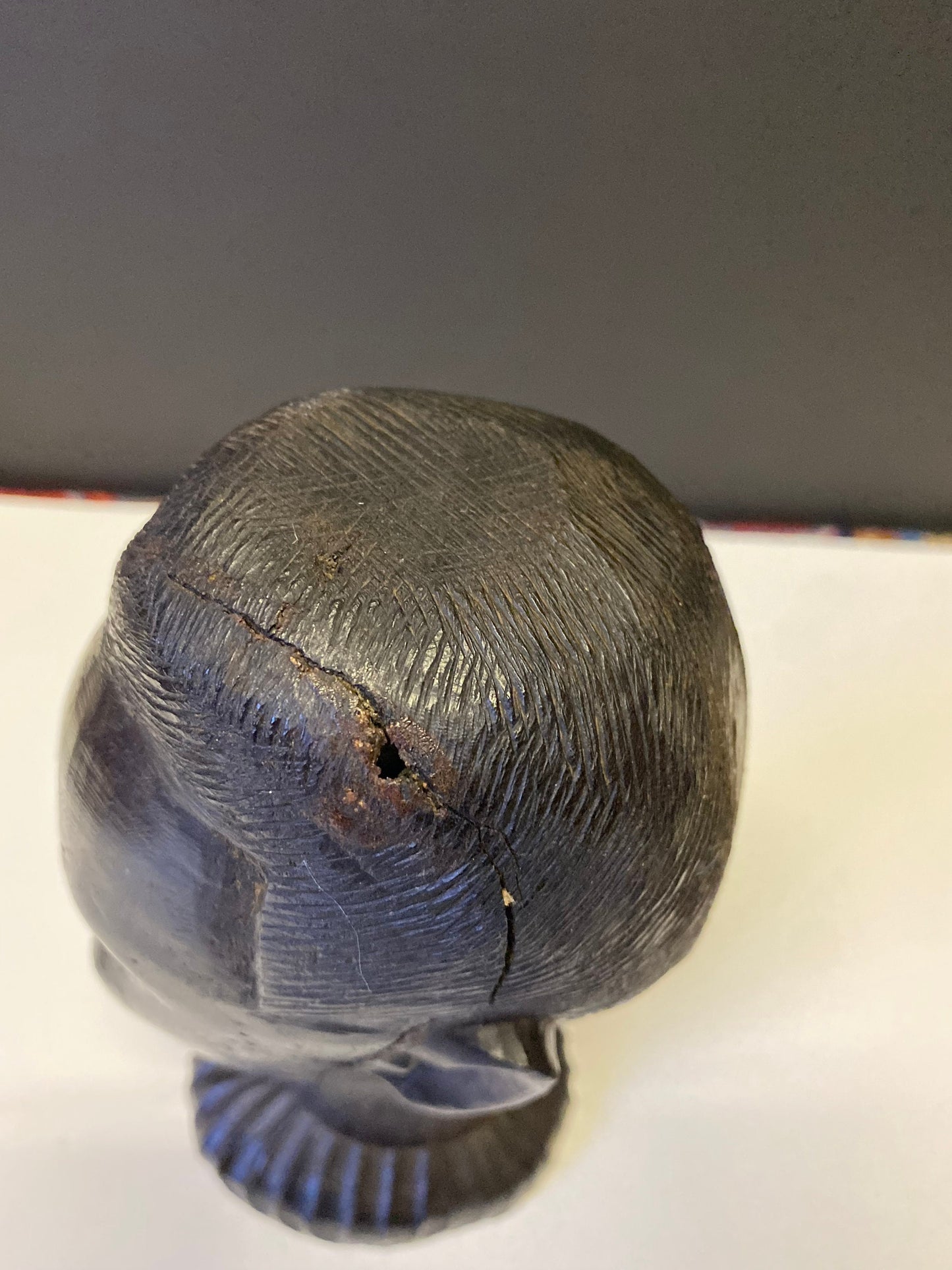 A  Fabulous western 8 inch African Carved Ebony bust of a male warrior  great detail  wow  seen some wars but tragically perfect