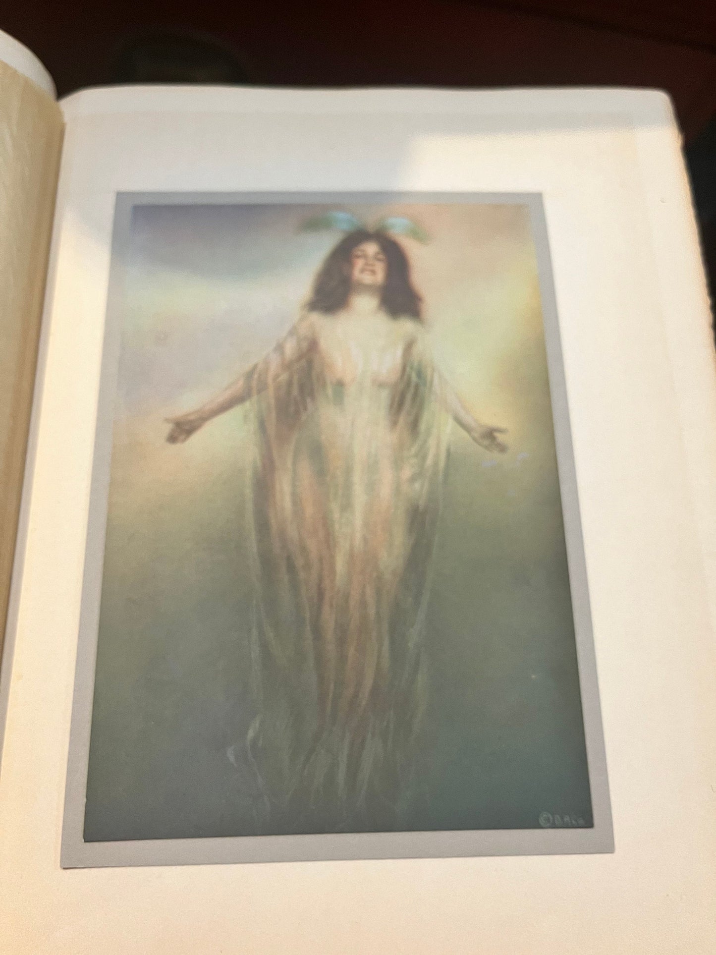 Absolutely fantastic antique book 10 x 8 x 1.5 the runalyat of Omar Khayyam good but not perfect condition stunning portraits - wow