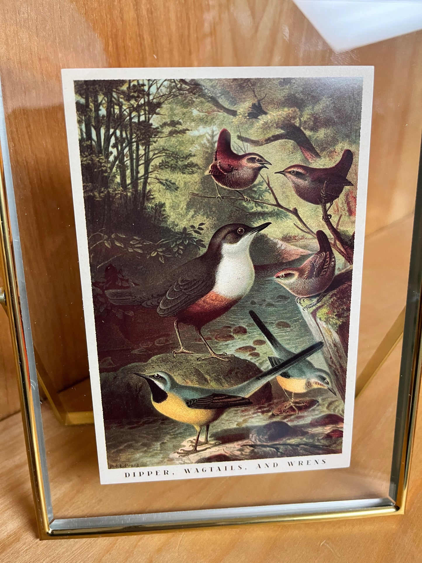 7.9 x 5.9 inch MCM style brass frame. With country chic photo leave it be or put your own photo in