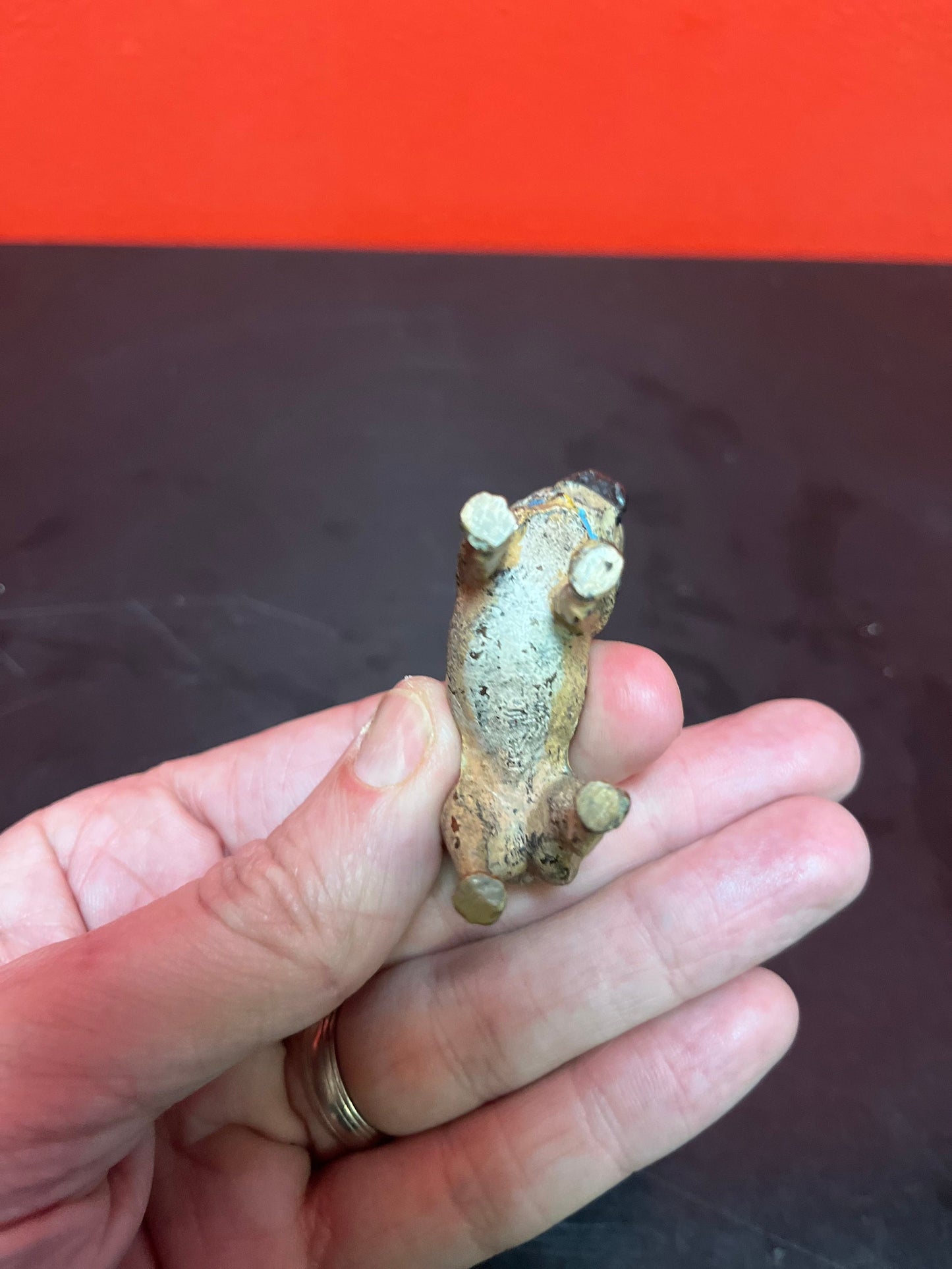 Authentic fabulous 2 inch long, Franz Bergman antique Austrian bronze of a pug dog great patina absolutely fabulous