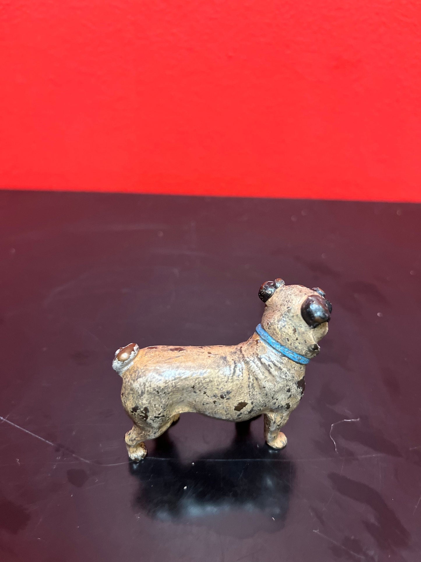 Authentic fabulous 2 inch long, Franz Bergman antique Austrian bronze of a pug dog great patina absolutely fabulous