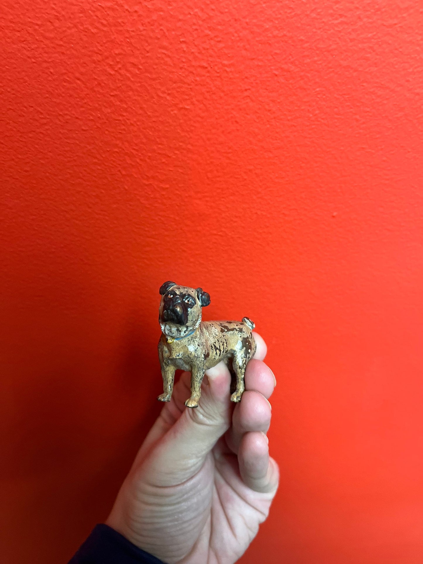 Authentic fabulous 2 inch long, Franz Bergman antique Austrian bronze of a pug dog great patina absolutely fabulous
