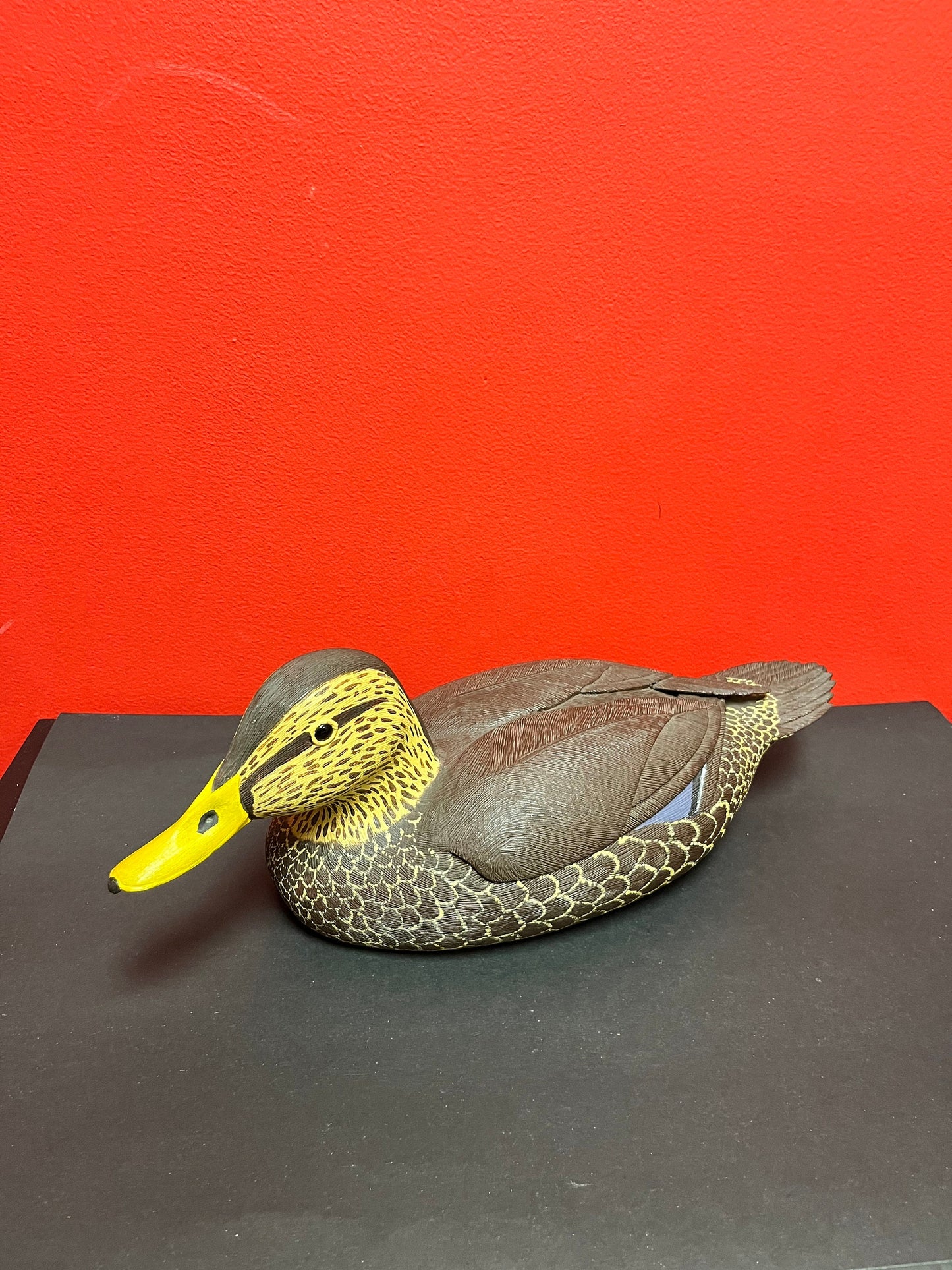Fabulous 15 inch long signed carved wooden black duck duck decoy, 1978 from Springfield great detail and condition -
