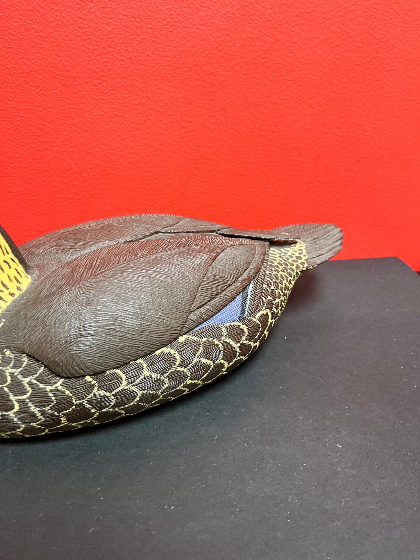 Fabulous 15 inch long signed carved wooden black duck duck decoy, 1978 from Springfield great detail and condition -
