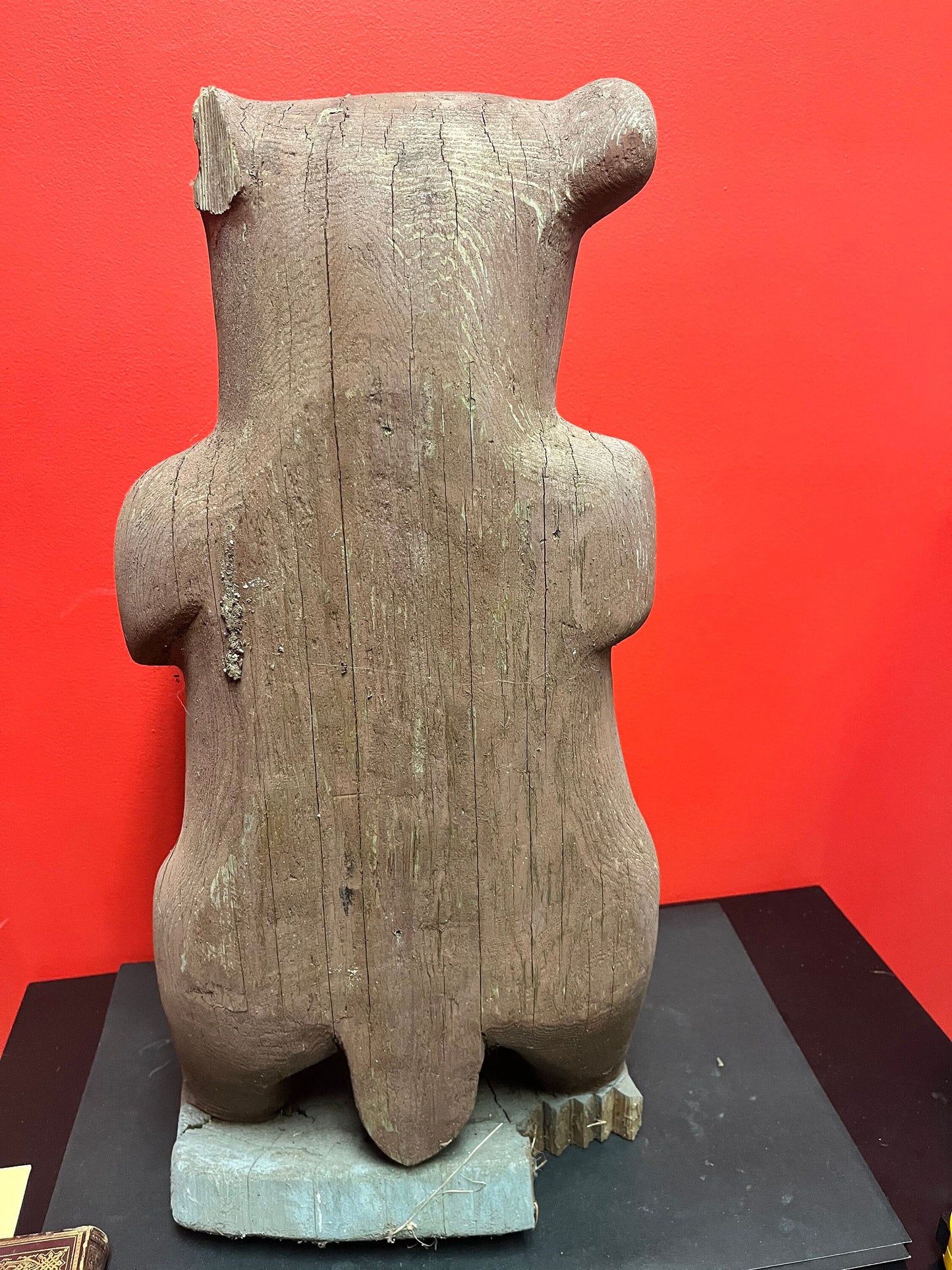 27 inch tall heavy Cedar 1940s indigenous Haida carved bear antique condition museum quality stunner