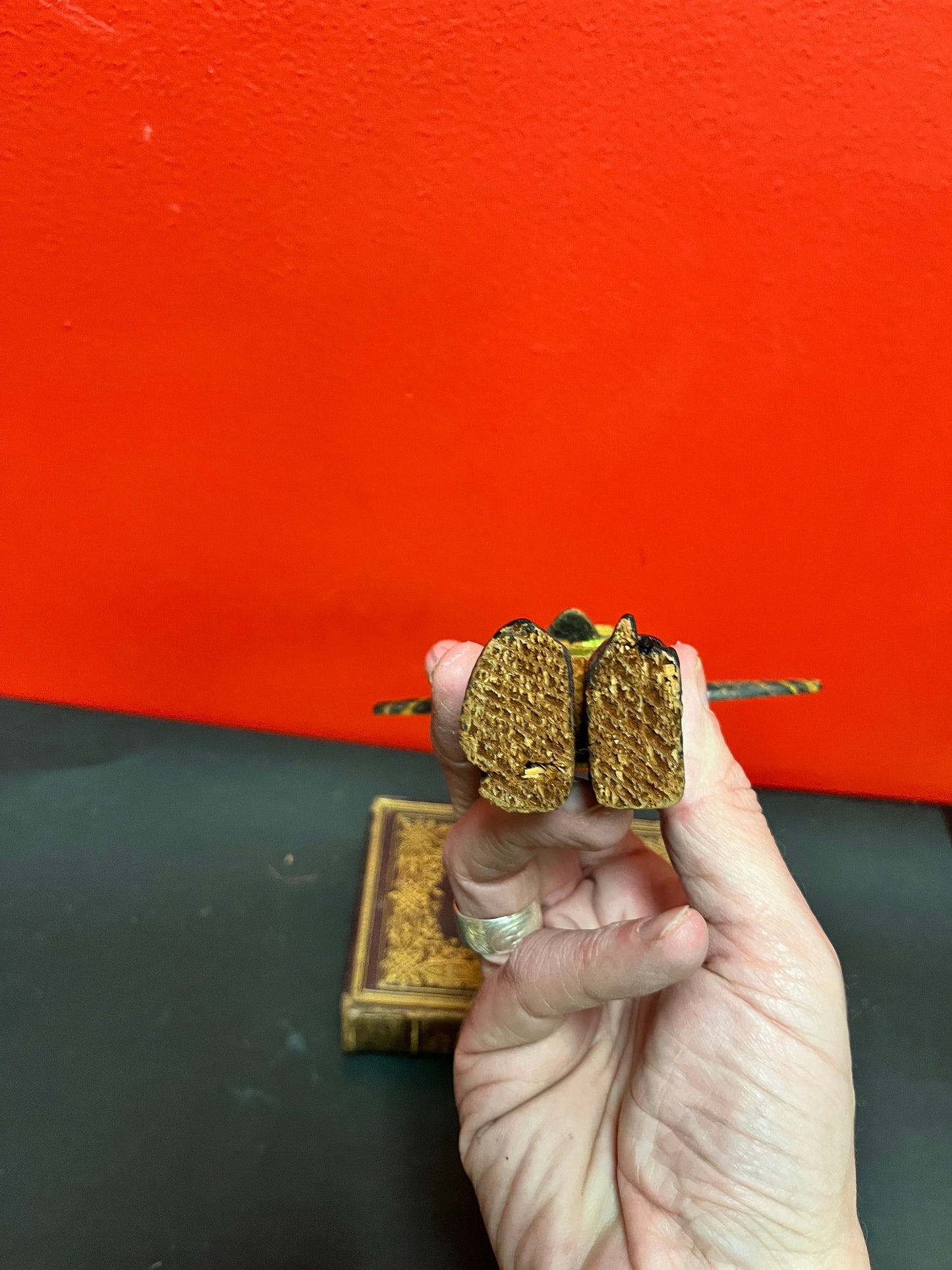 Fabulous antique 7 1/2 x 6 wide indigenous first nations pacific northwest coast polychrome totem  super old and rare  signed