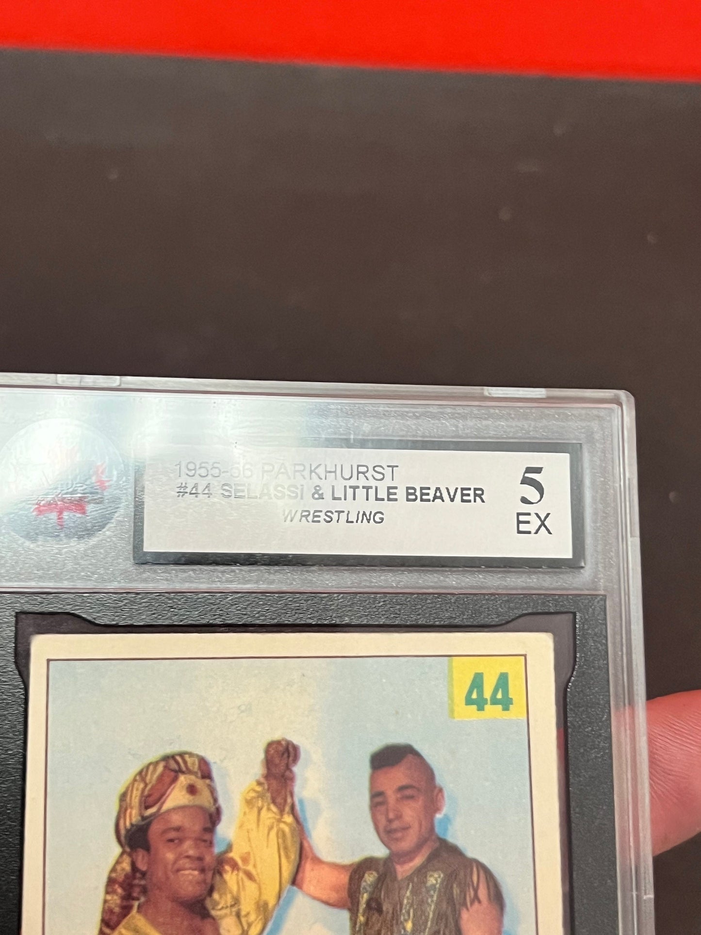 Graded super rare 1955 parkhurst midget wrestling trading card in case wow