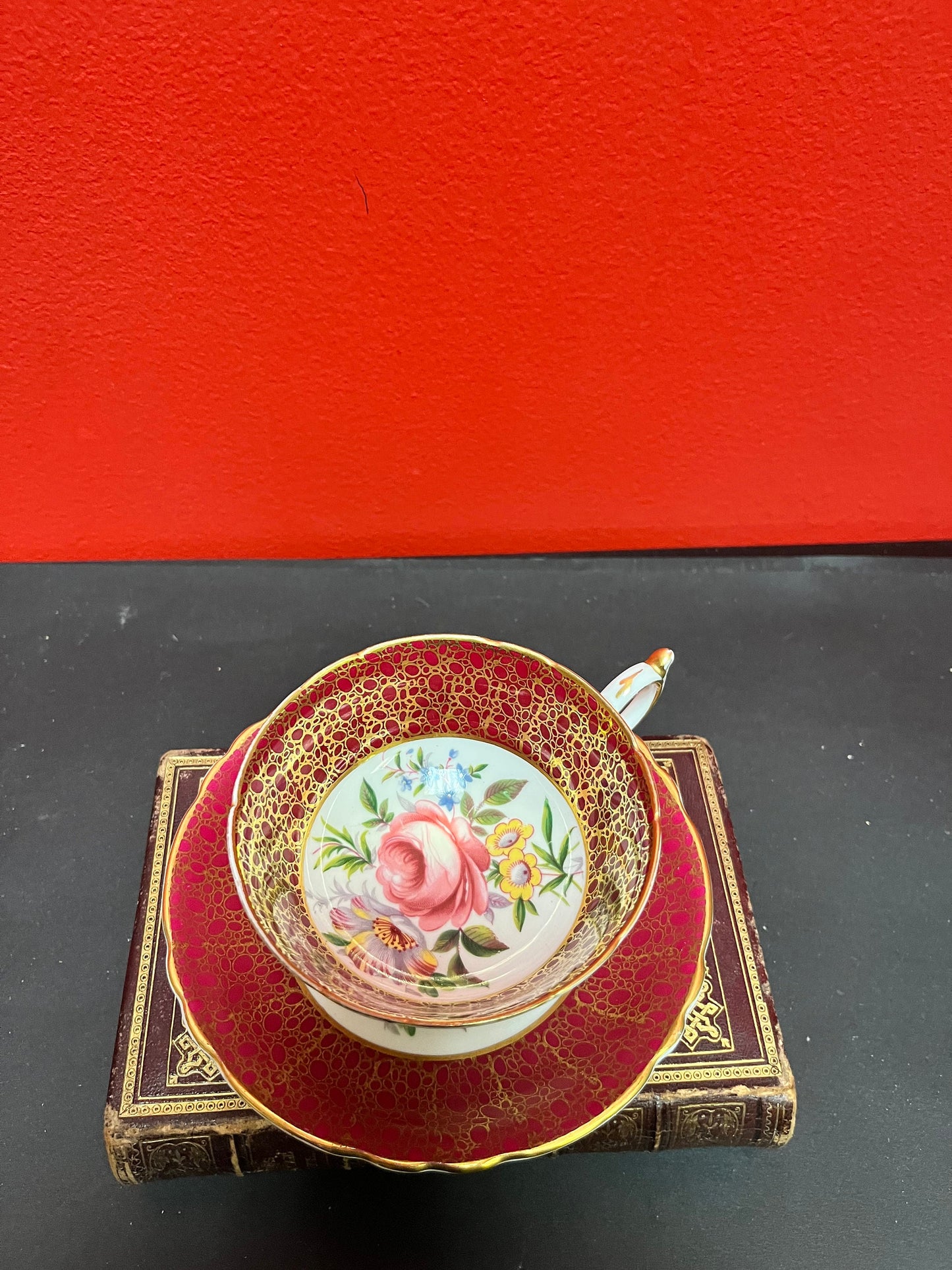 Paragon beautiful rare and cup and Saucer mint condition wow