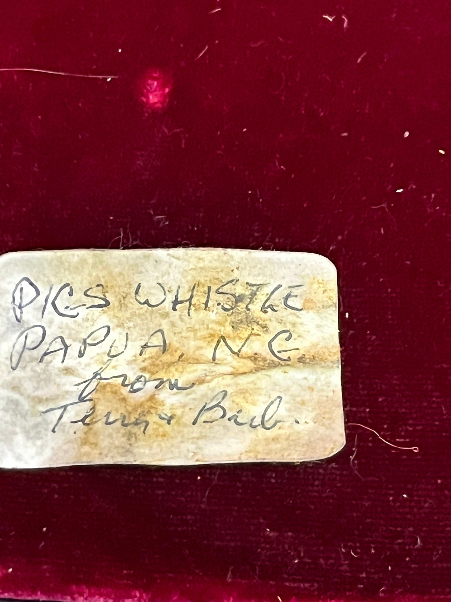 Very very rare 5 inch Papua New Guinea pigs whistle one small chip very old museum quality piece