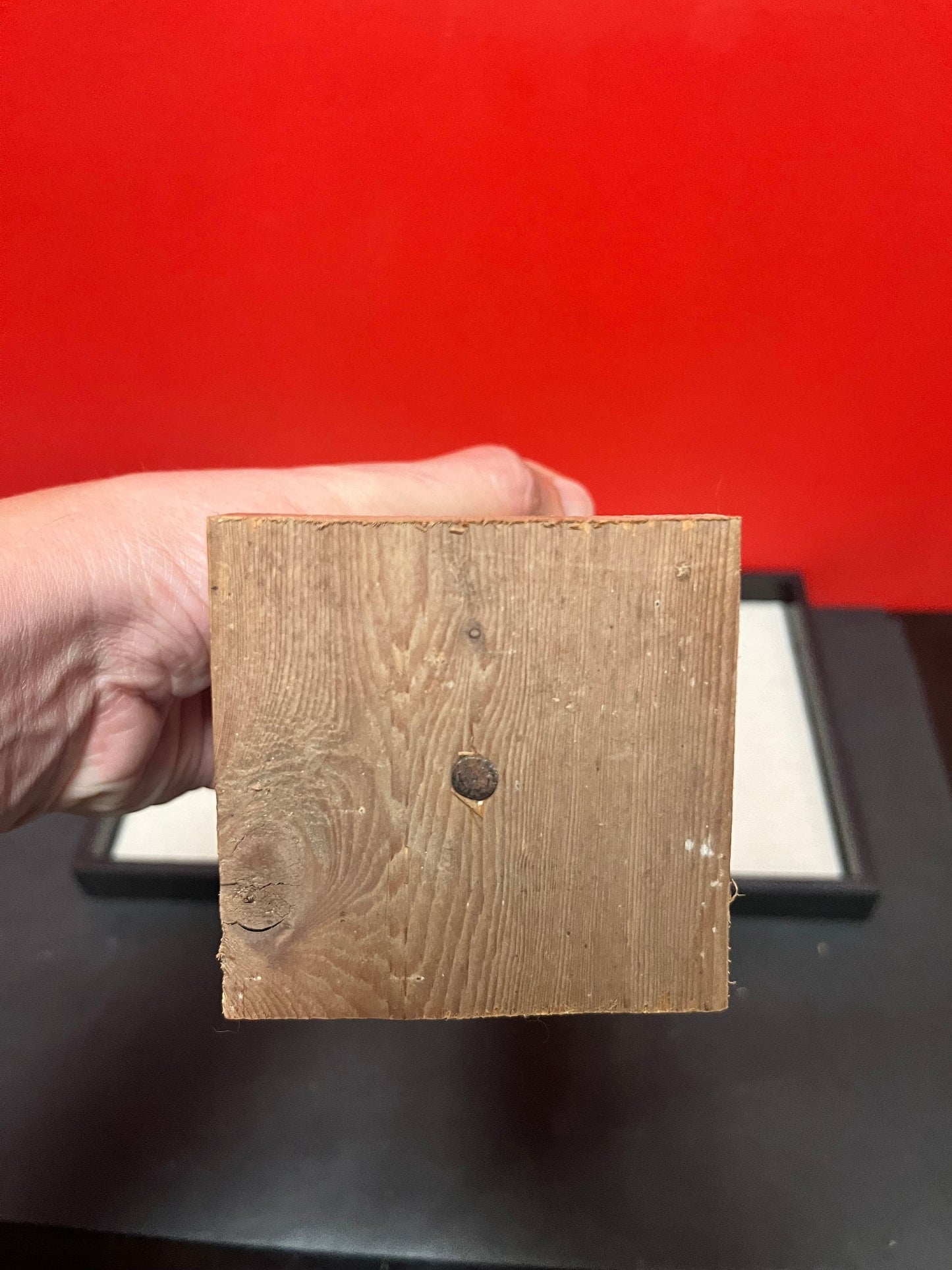 Lovely 12 inch high transformation cedar totem Pole  Indigenous First Nations, pacific northwest coast