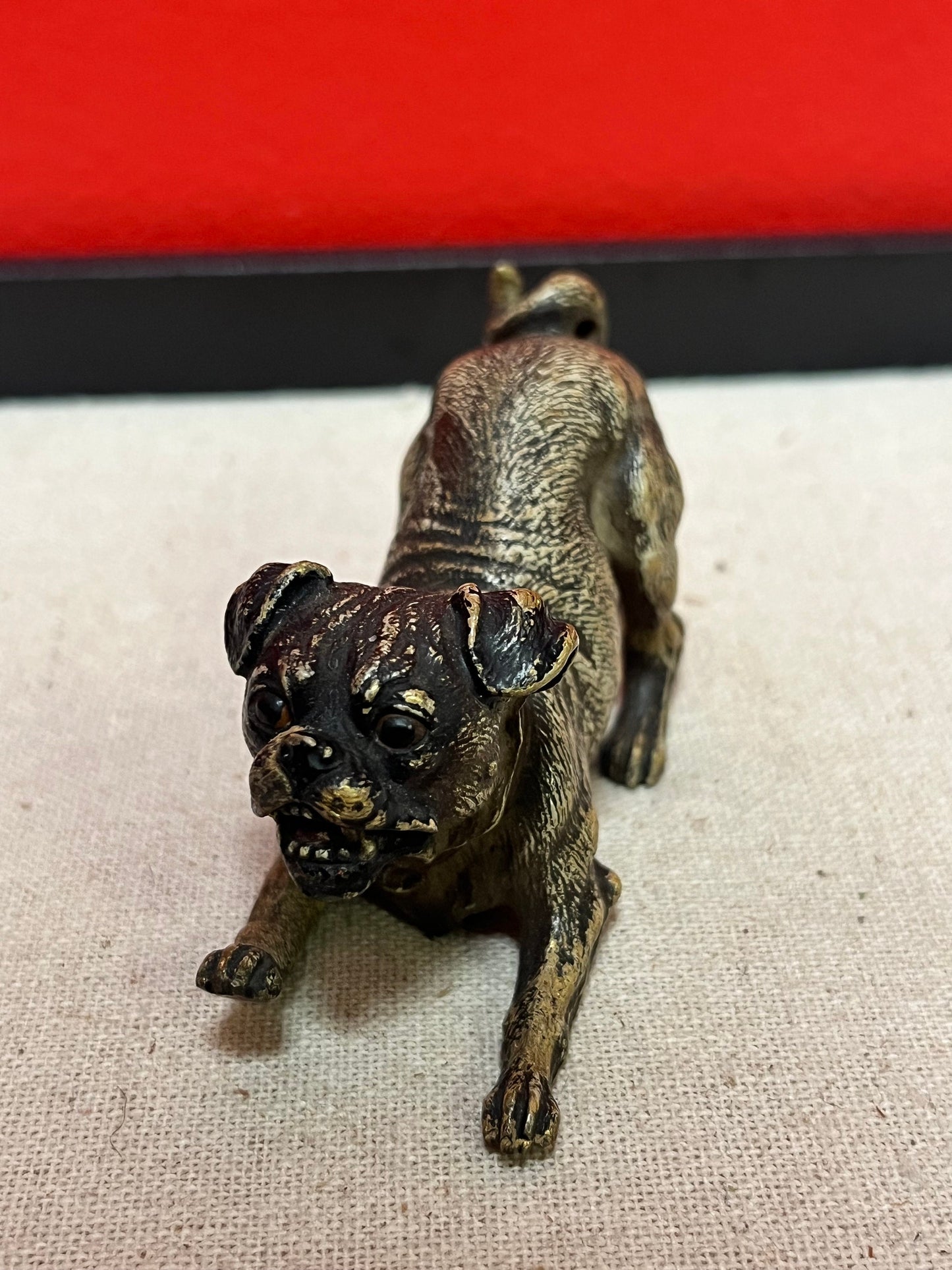 Stunning 3.5 inch Franz Bergman cold painted bronze crouching dog in good condition wow great expression