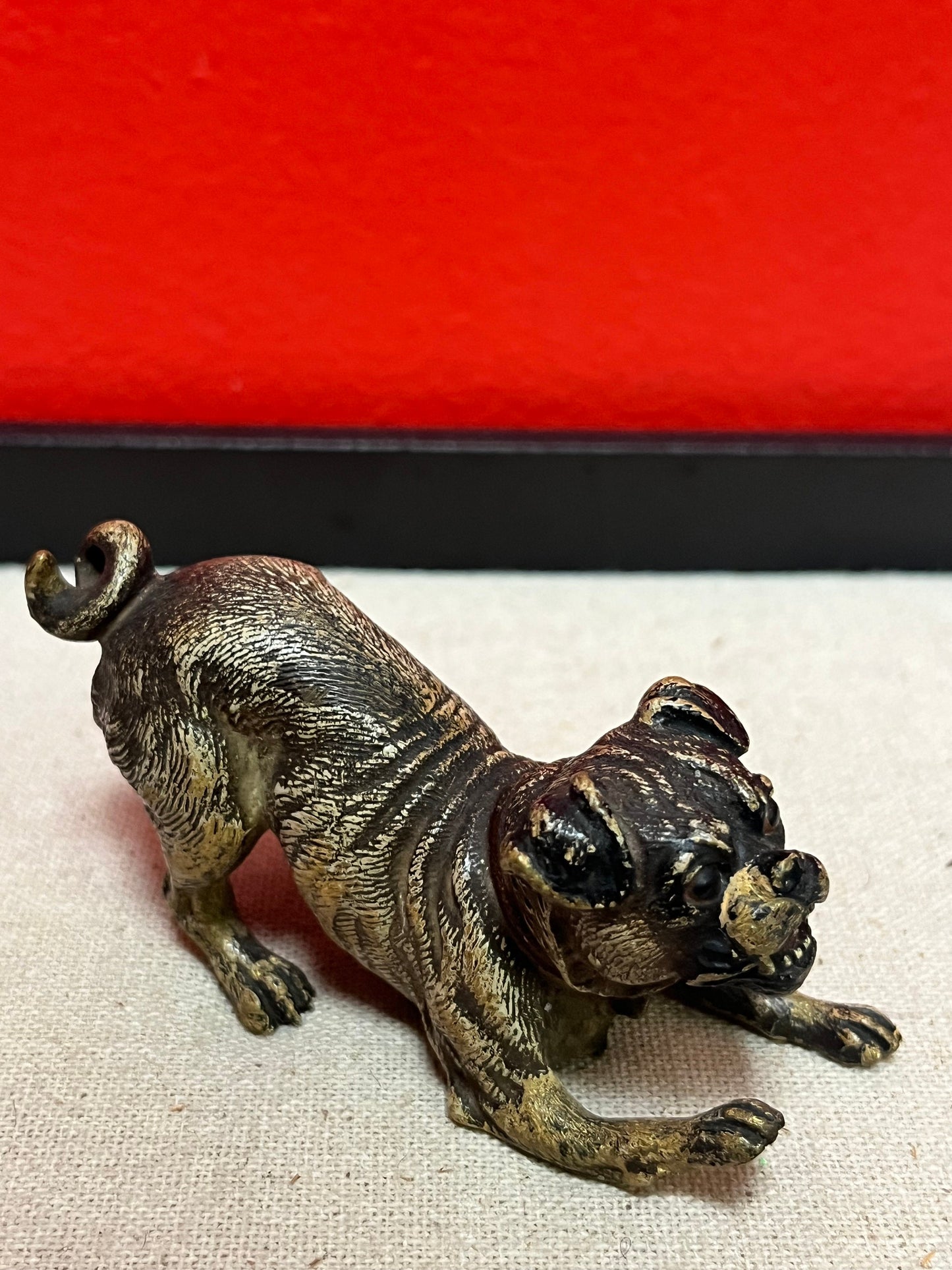 Stunning 3.5 inch Franz Bergman cold painted bronze crouching dog in good condition wow great expression