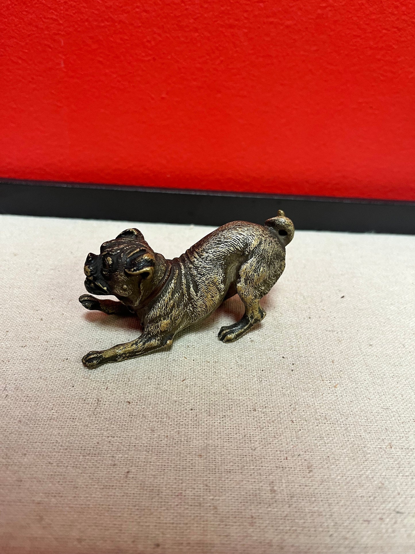 Stunning 3.5 inch Franz Bergman cold painted bronze crouching dog in good condition wow great expression