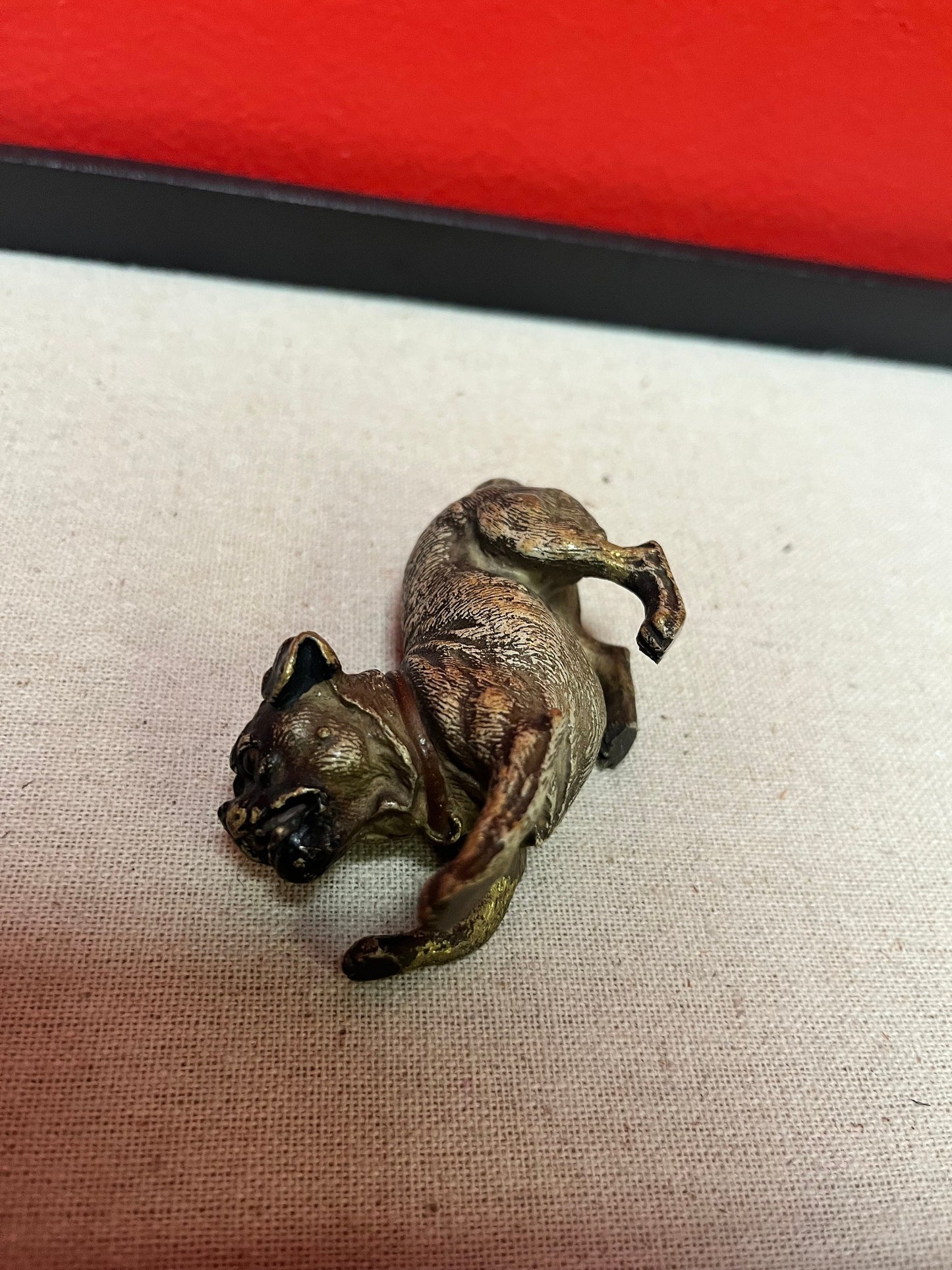 Stunning 3.5 inch Franz Bergman cold painted bronze crouching dog in good condition wow great expression
