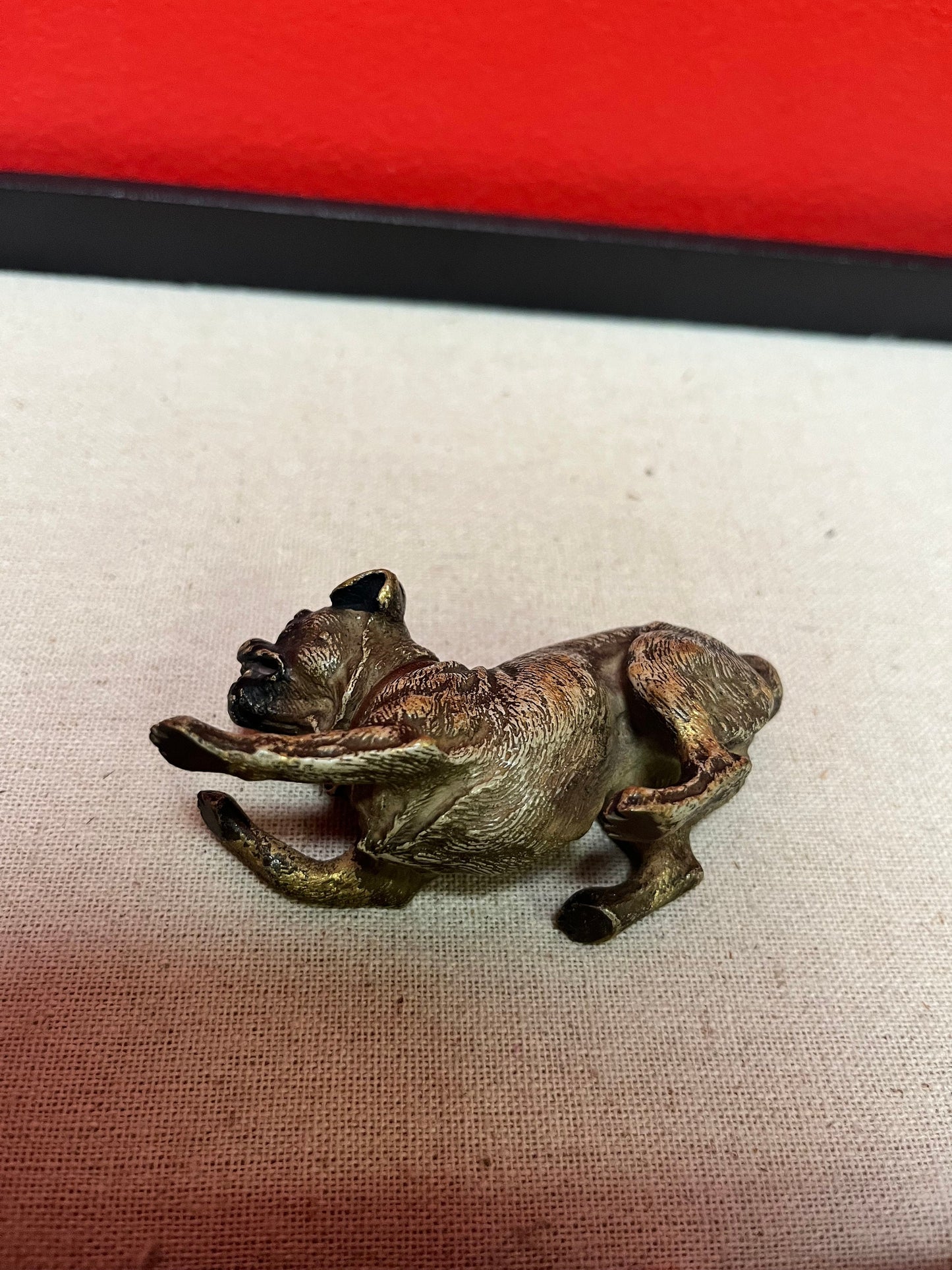 Stunning 3.5 inch Franz Bergman cold painted bronze crouching dog in good condition wow great expression