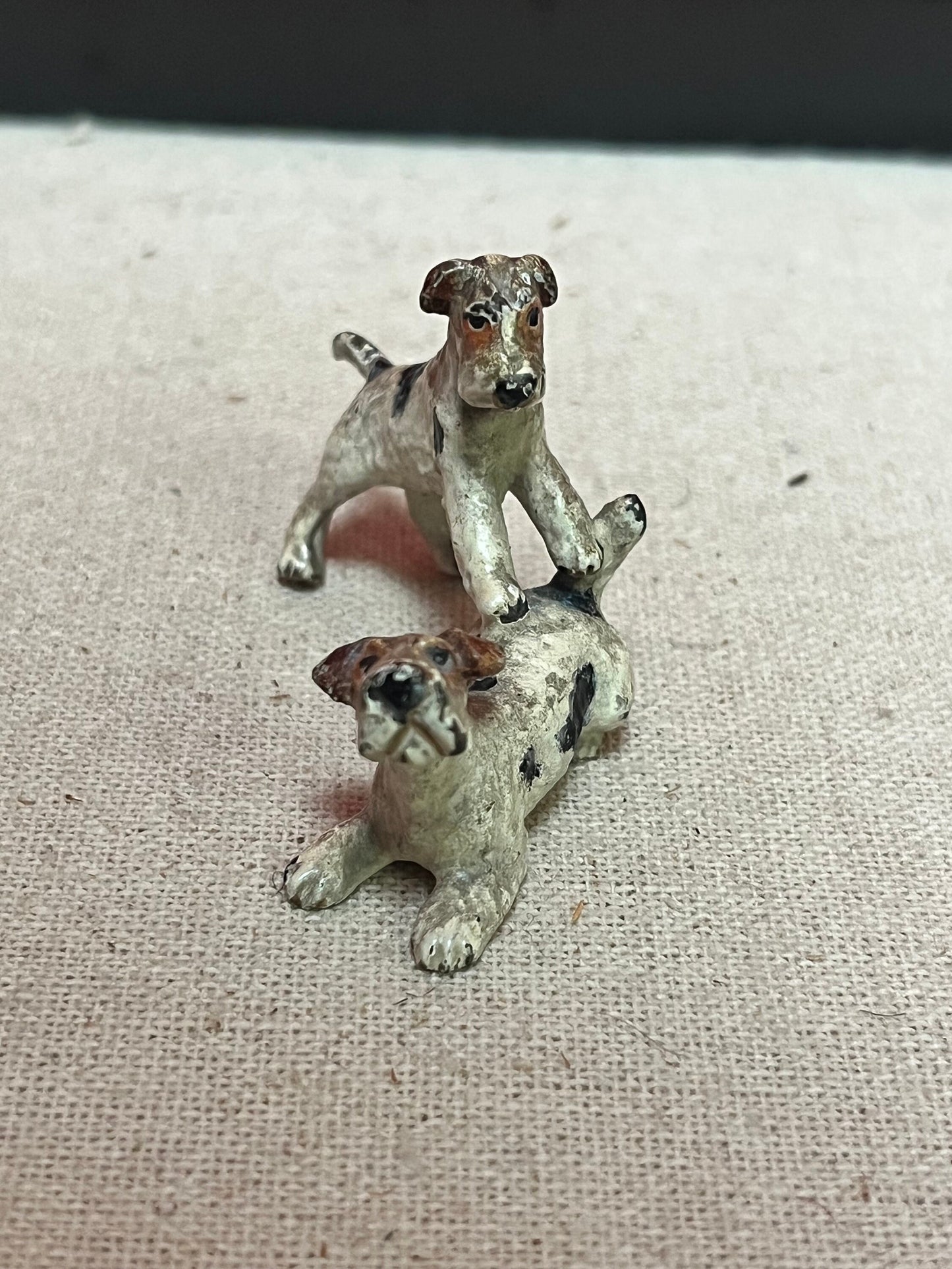 Stunning 2 inch Franz Bergman cold painted bronze terrier dogs wrestling on good condition wow