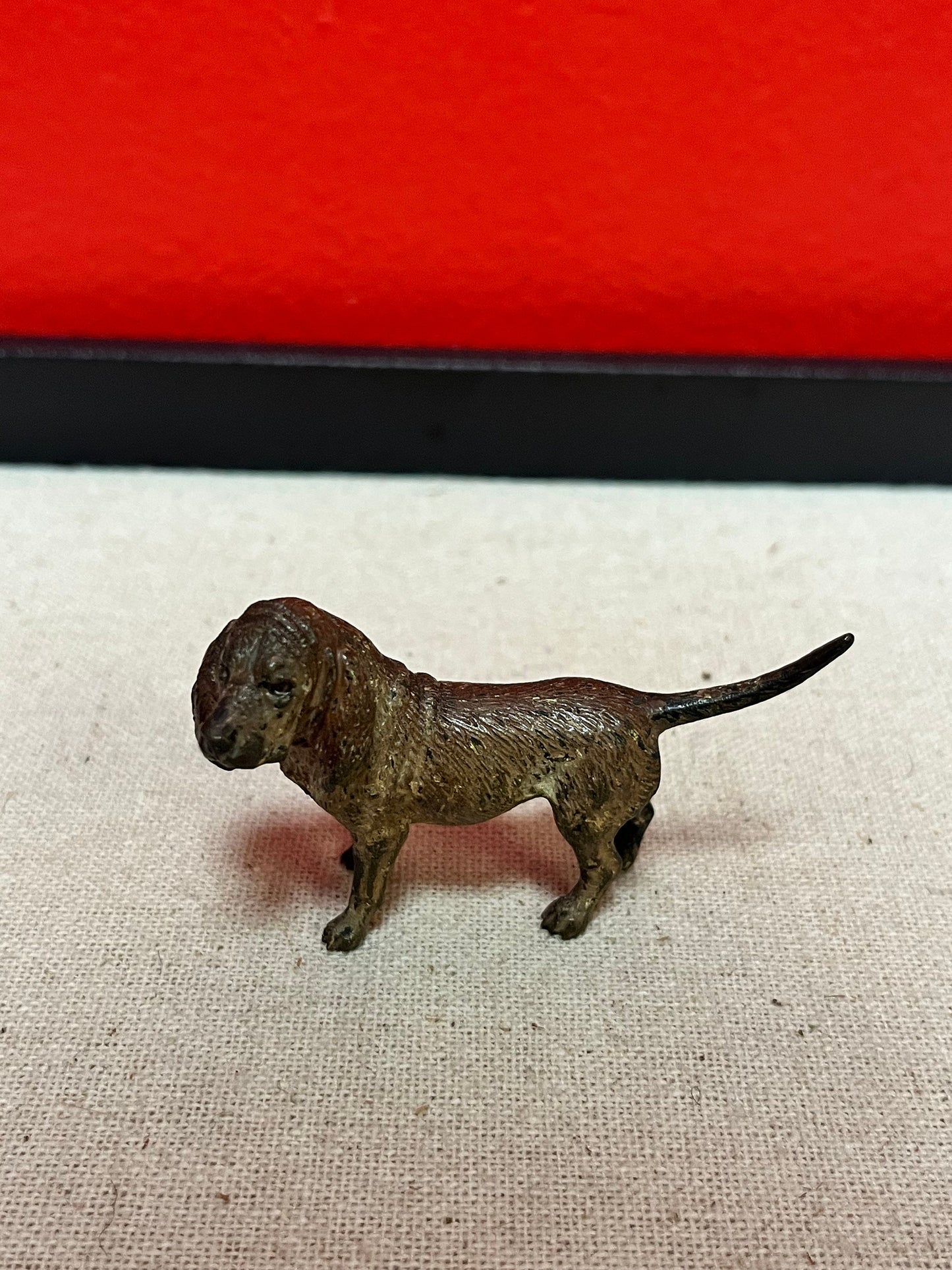 Stunning 2.5 inch Franz Bergman cold painted bronze King Charles spaniel dog in good condition wow