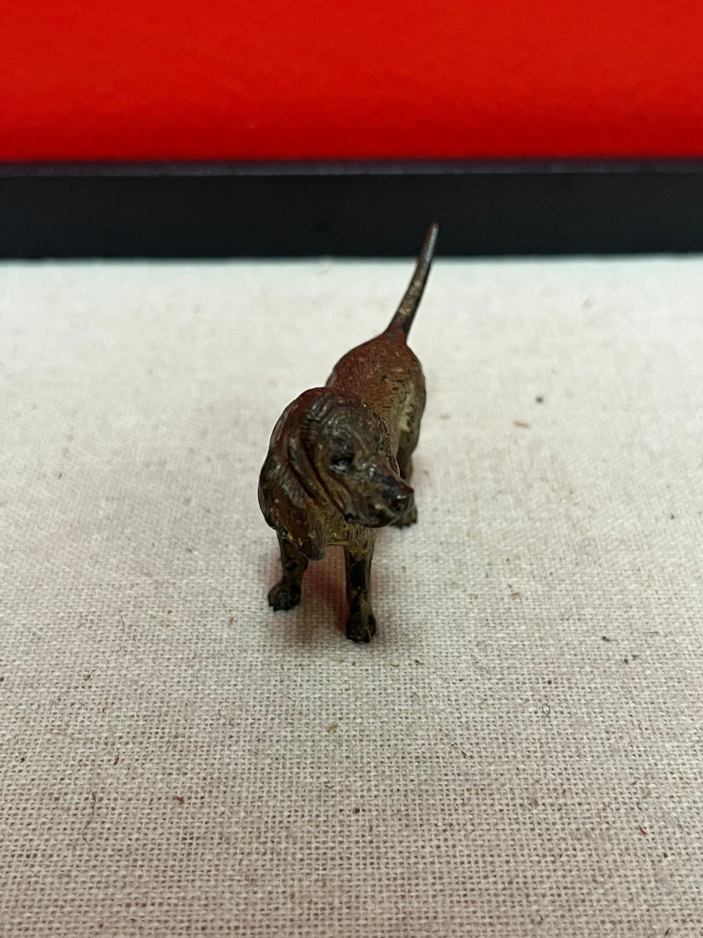 Stunning 2.5 inch Franz Bergman cold painted bronze King Charles spaniel dog in good condition wow