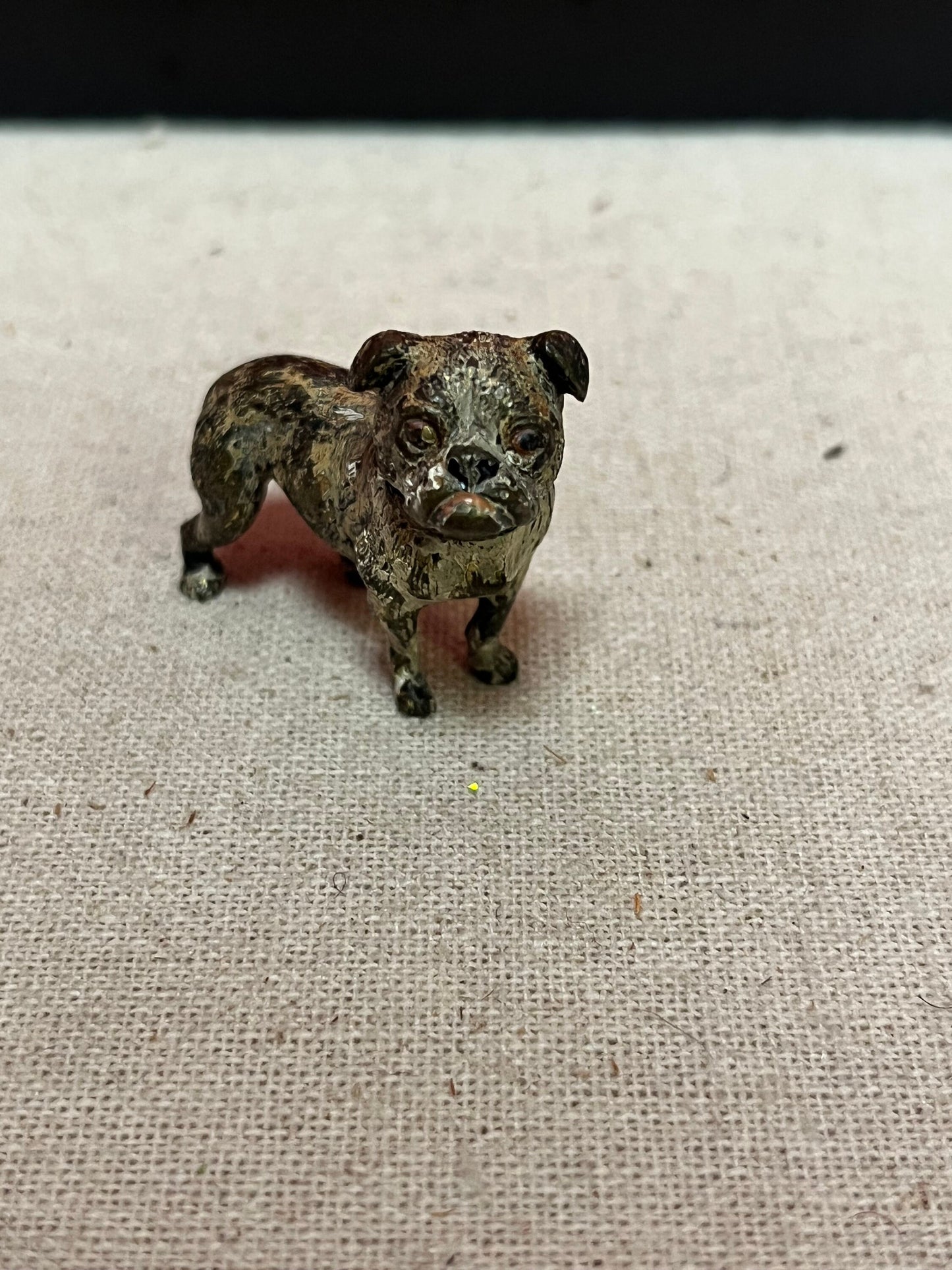 Stunning 1.5 inch Franz Bergman cold  painted bronze pug dog In poor condition  wow