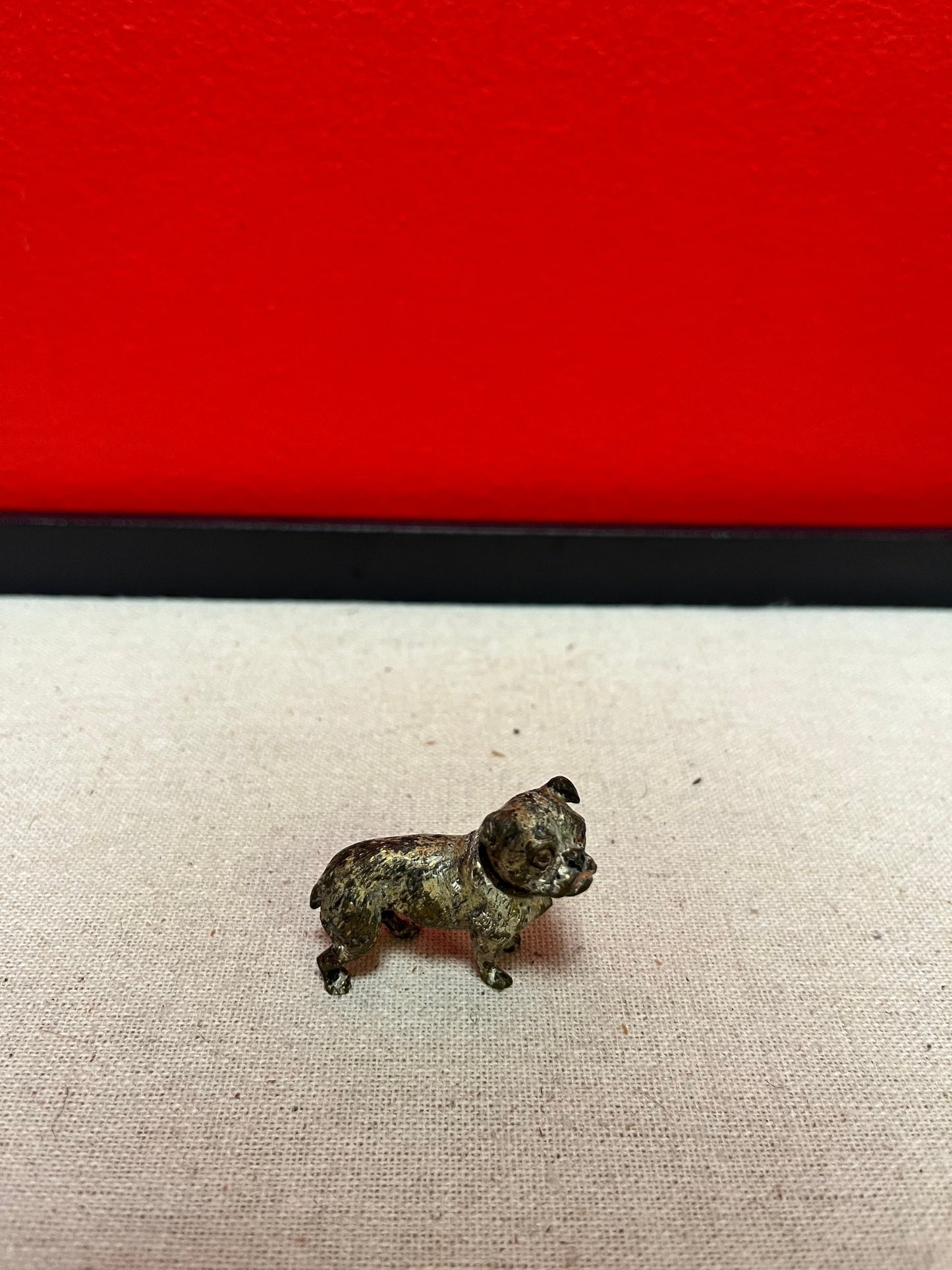Stunning 1.5 inch Franz Bergman cold  painted bronze pug dog In poor condition  wow