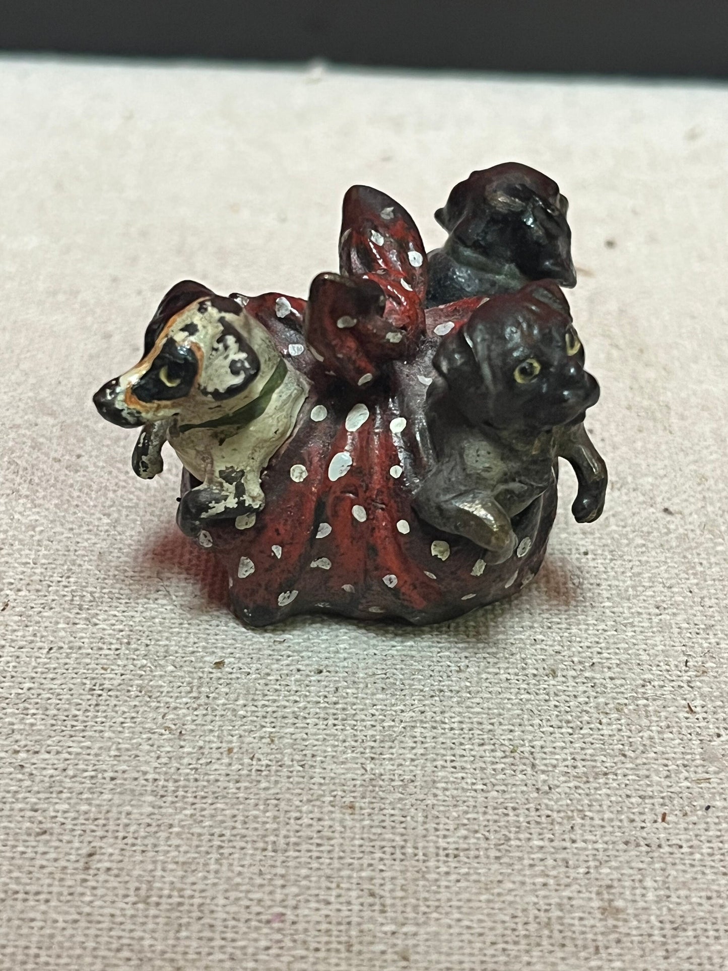 Stunning 2 inch Franz Bergman cold painted bronze pug dogs in a blanket - great condition wow