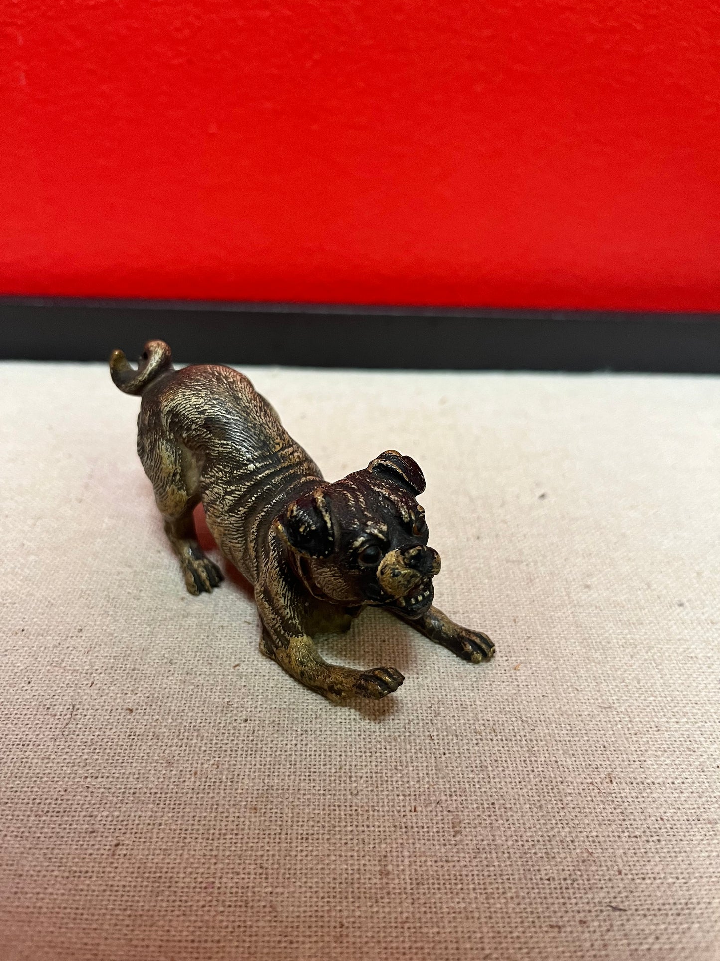 Stunning 3.5 inch Franz Bergman cold painted bronze crouching dog in good condition wow great expression