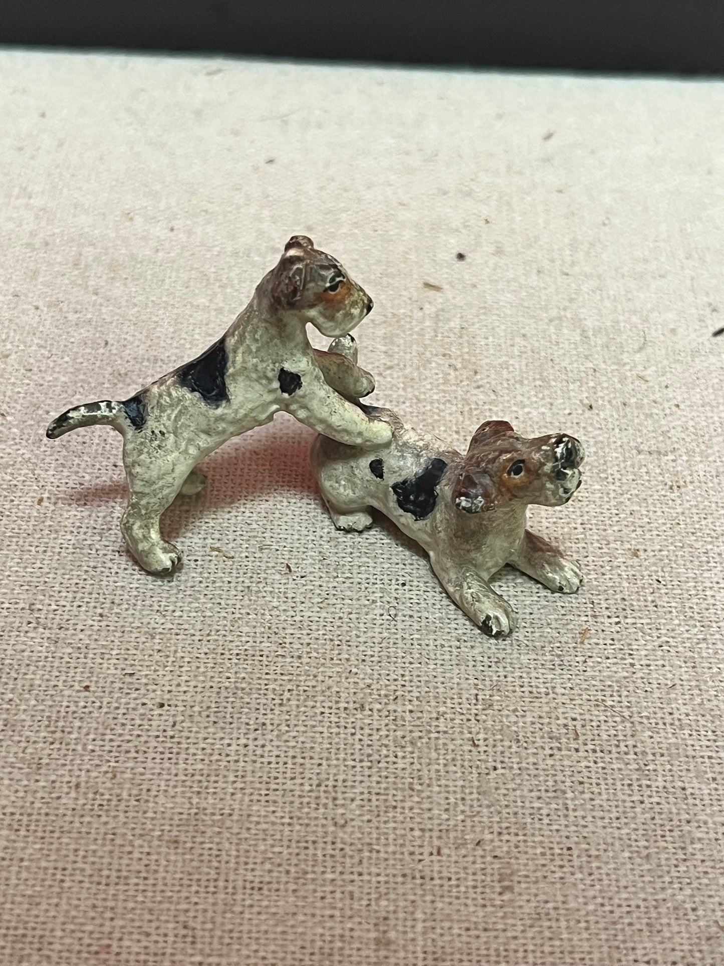 Stunning 2 inch Franz Bergman cold painted bronze terrier dogs wrestling on good condition wow