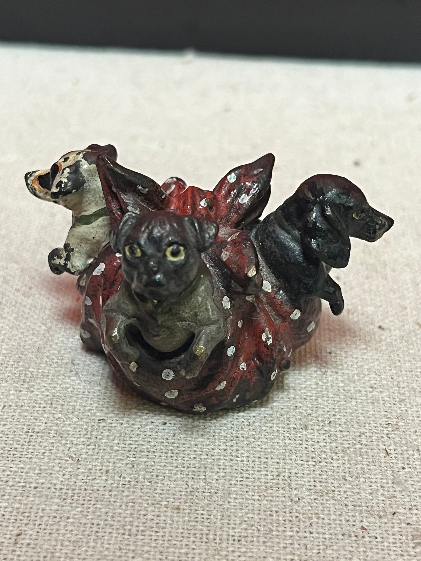 Stunning 2 inch Franz Bergman cold painted bronze pug dogs in a blanket - great condition wow
