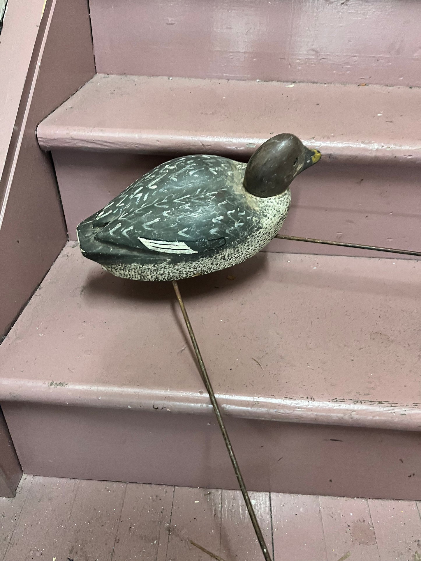 Stunning museum quality antique Canadian multiple duck decoy approximate 34 x 26  ducks 17 inches each  amazing condition