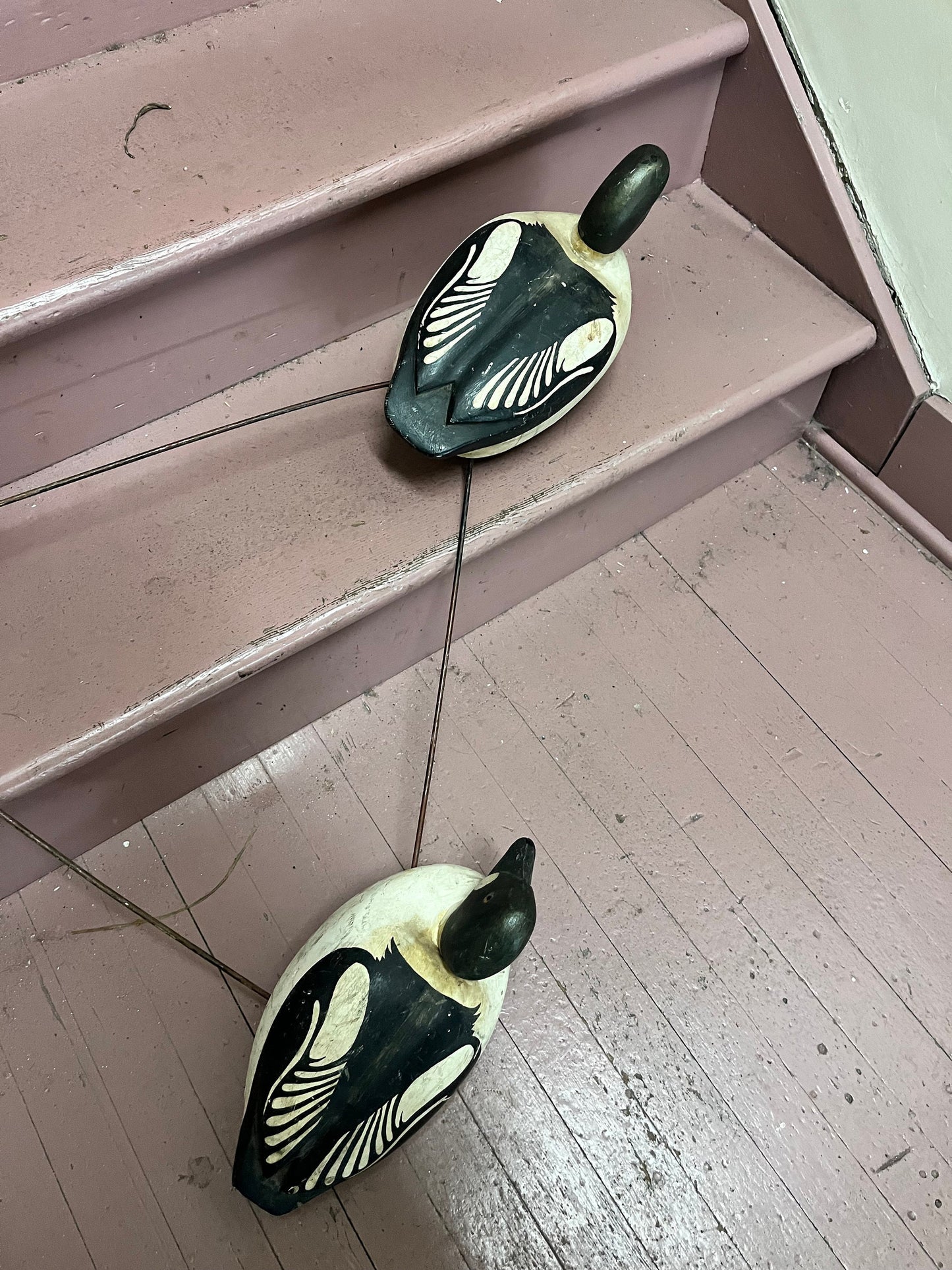 Stunning museum quality antique Canadian multiple duck decoy approximate 34 x 26  ducks 17 inches each  amazing condition