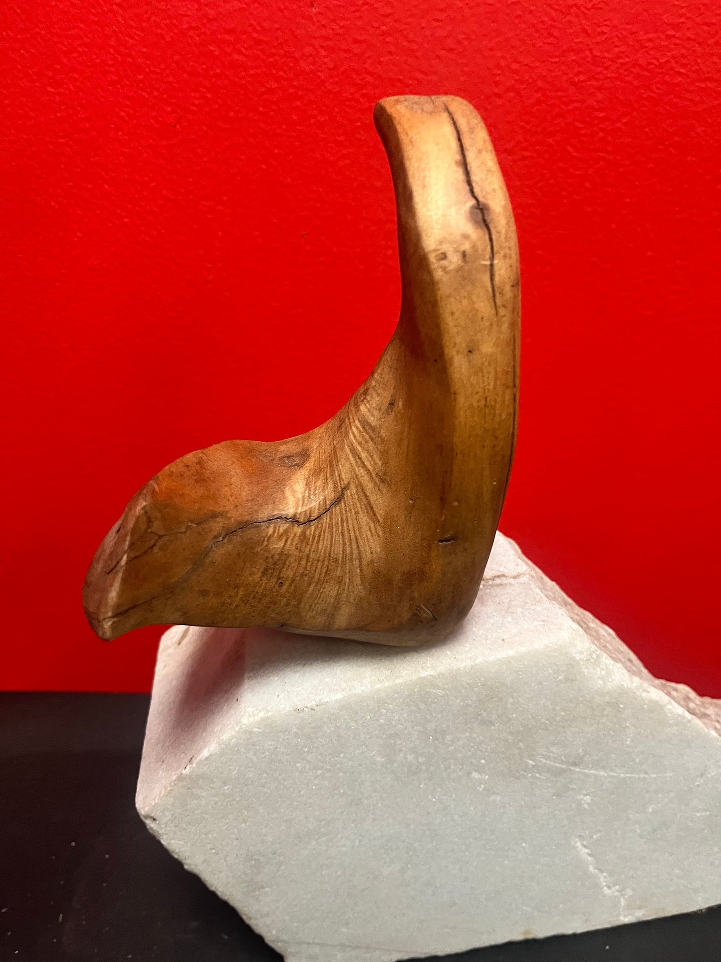 Lovely 12 x 13 high West Coast Canadian wood abstract animal sculpture on stone base amazing Home decor