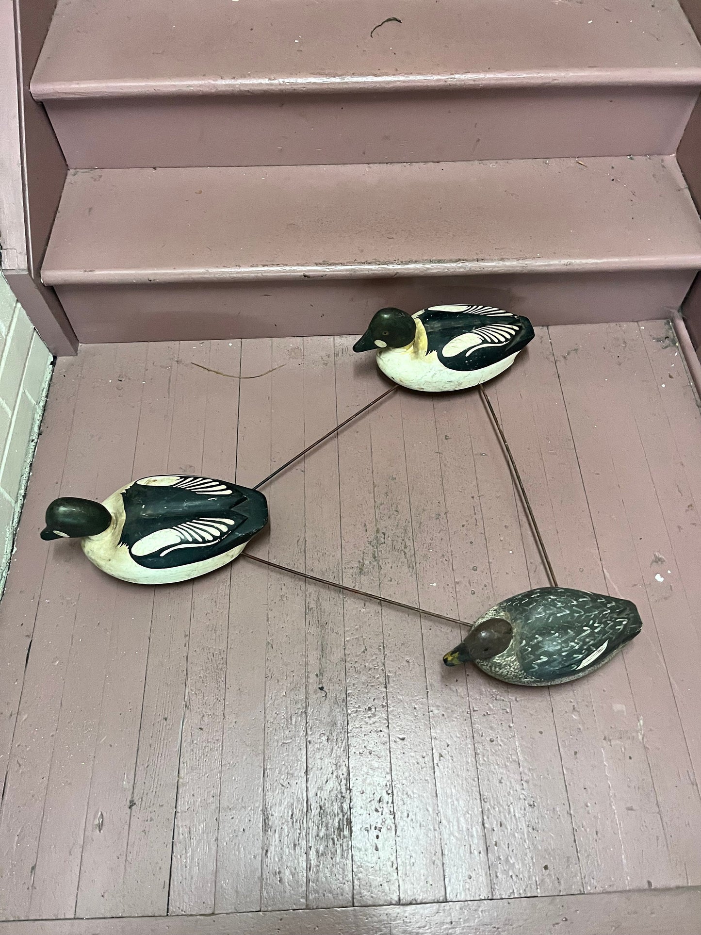 Stunning museum quality antique Canadian multiple duck decoy approximate 34 x 26  ducks 17 inches each  amazing condition