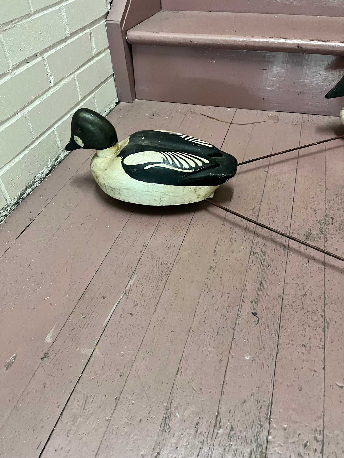 Stunning museum quality antique Canadian multiple duck decoy approximate 34 x 26  ducks 17 inches each  amazing condition