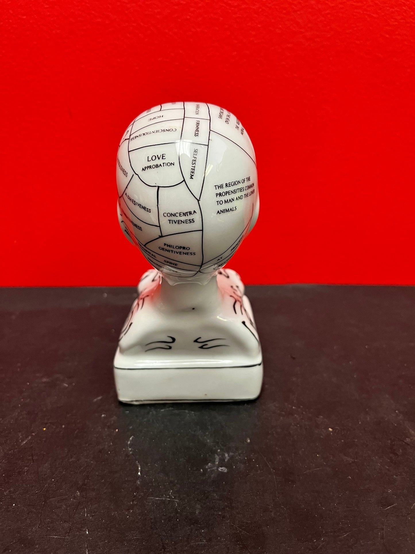 Wonderful 7 inch high vintage phrenology head Inkwell perfect condition with original lid wow