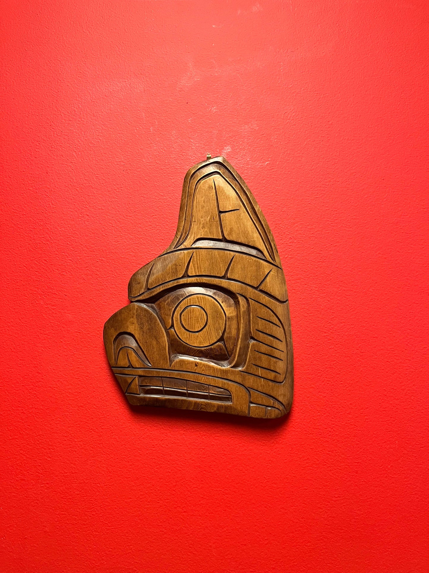 12 x 8 wide bear plaque by Albert Bruce   intense detail - 1st nations Pacific Northwest Coast wow