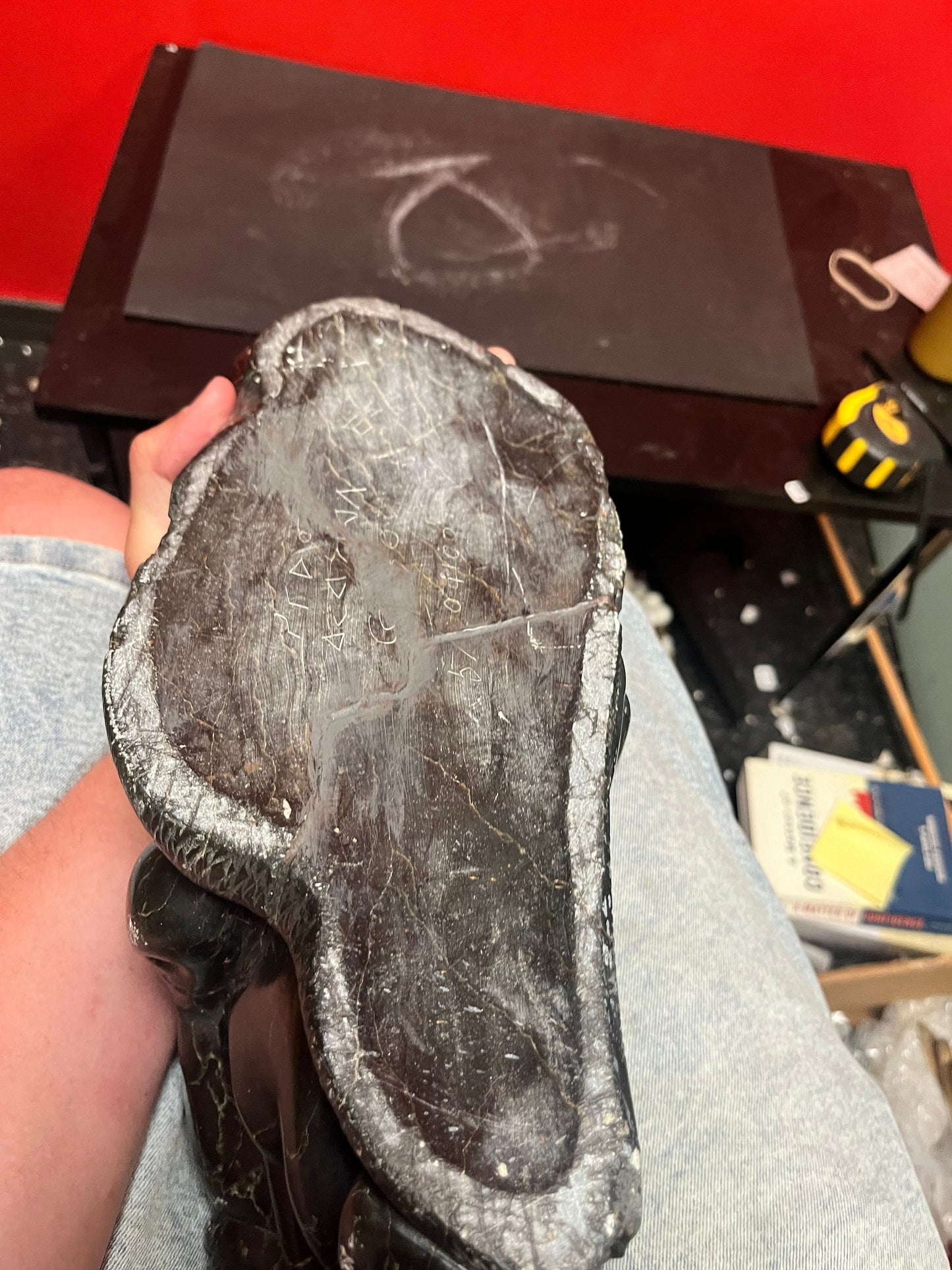 Fabulous signed authentic Canadian Eskimo soapstone Hunter versus seal   16 x 7 high with some minor scratches  approx 6 plus kilos