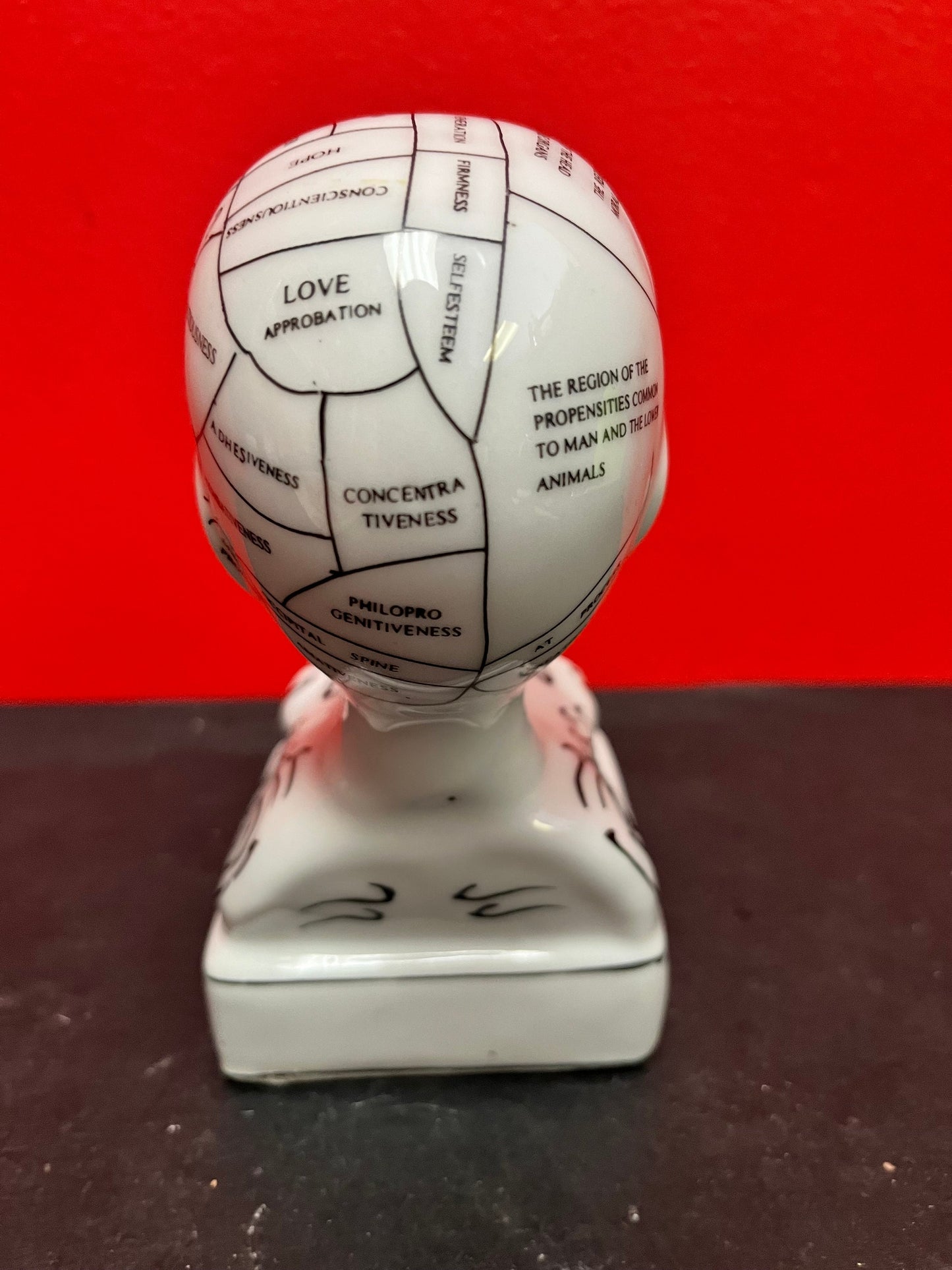 Wonderful 7 inch high vintage phrenology head Inkwell perfect condition with original lid wow