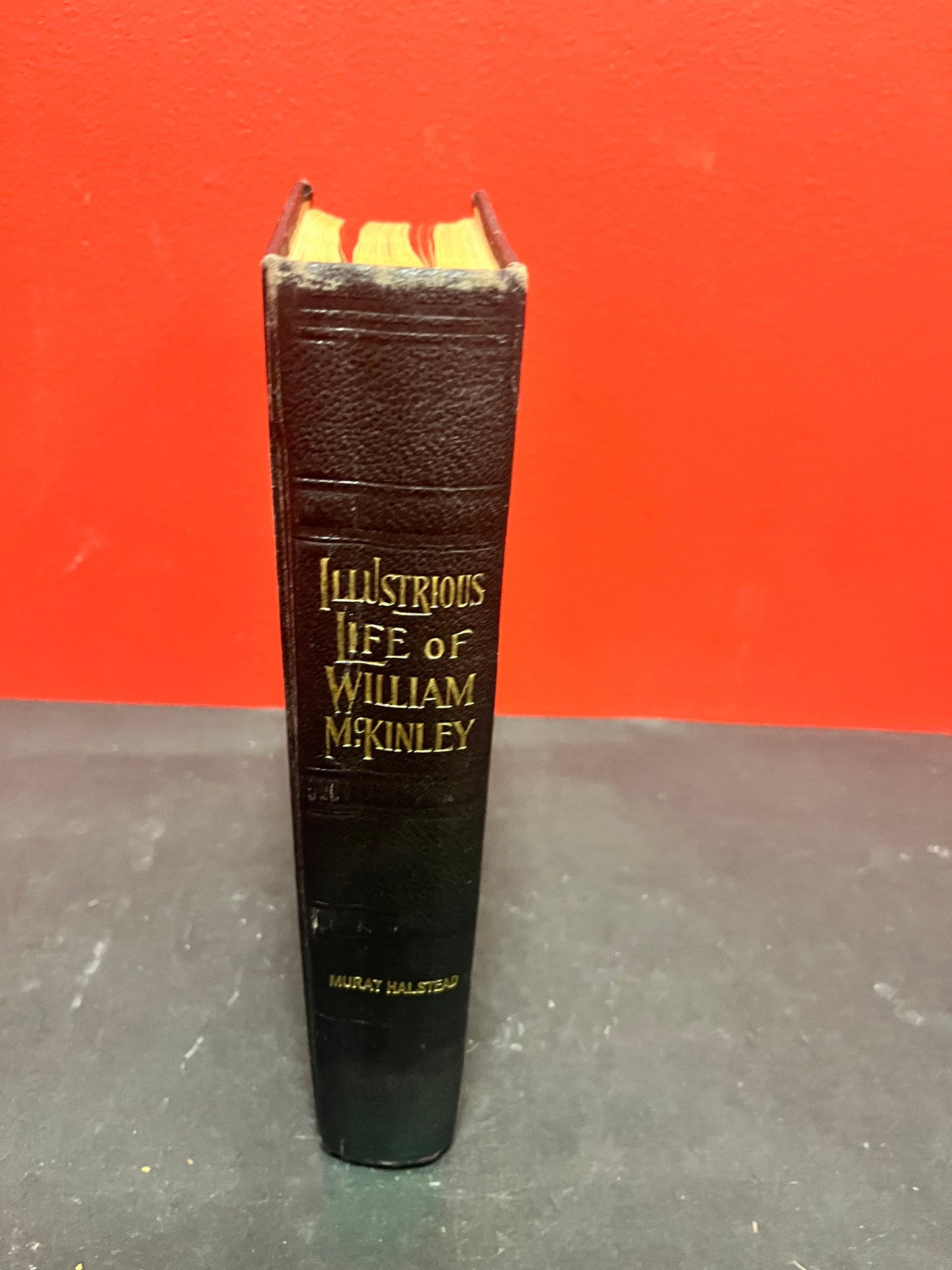 Industrious life of William McKinley our martyred President Fair to good condition 1901- First edition American political history