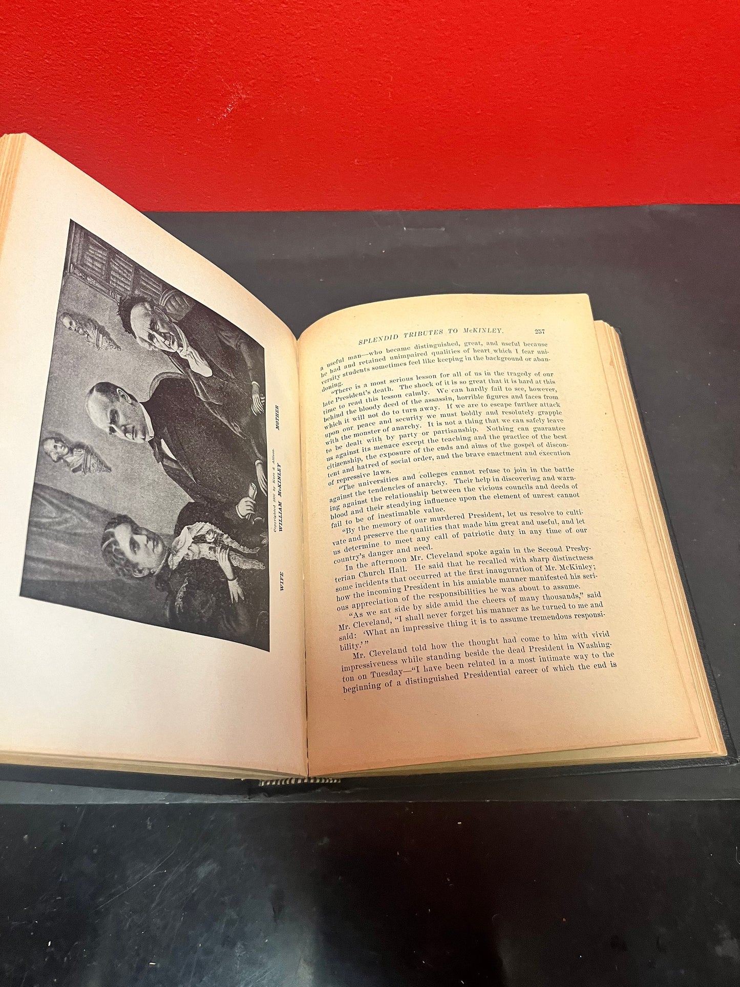 Industrious life of William McKinley our martyred President Fair to good condition 1901- First edition American political history