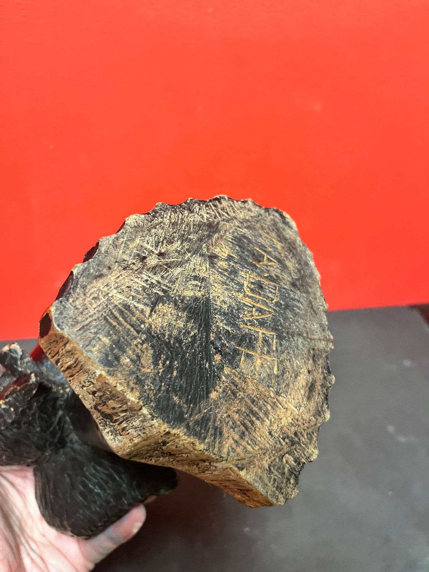 Wonderful museum quality 9 inch tall late 19th century signed  African bust of a woman with a frog upon her head  stunning patina  wow -