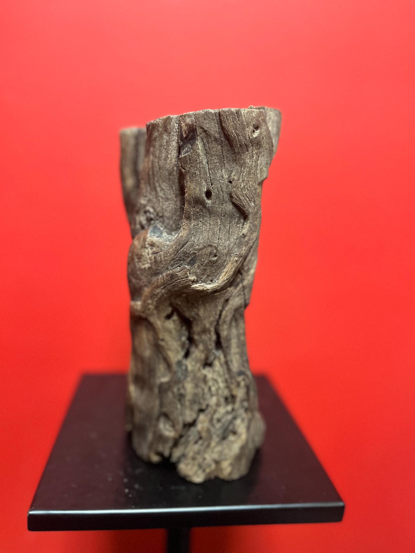 Very early antique African live edge wood bust of a man with necklace wonderful imagery museum quality