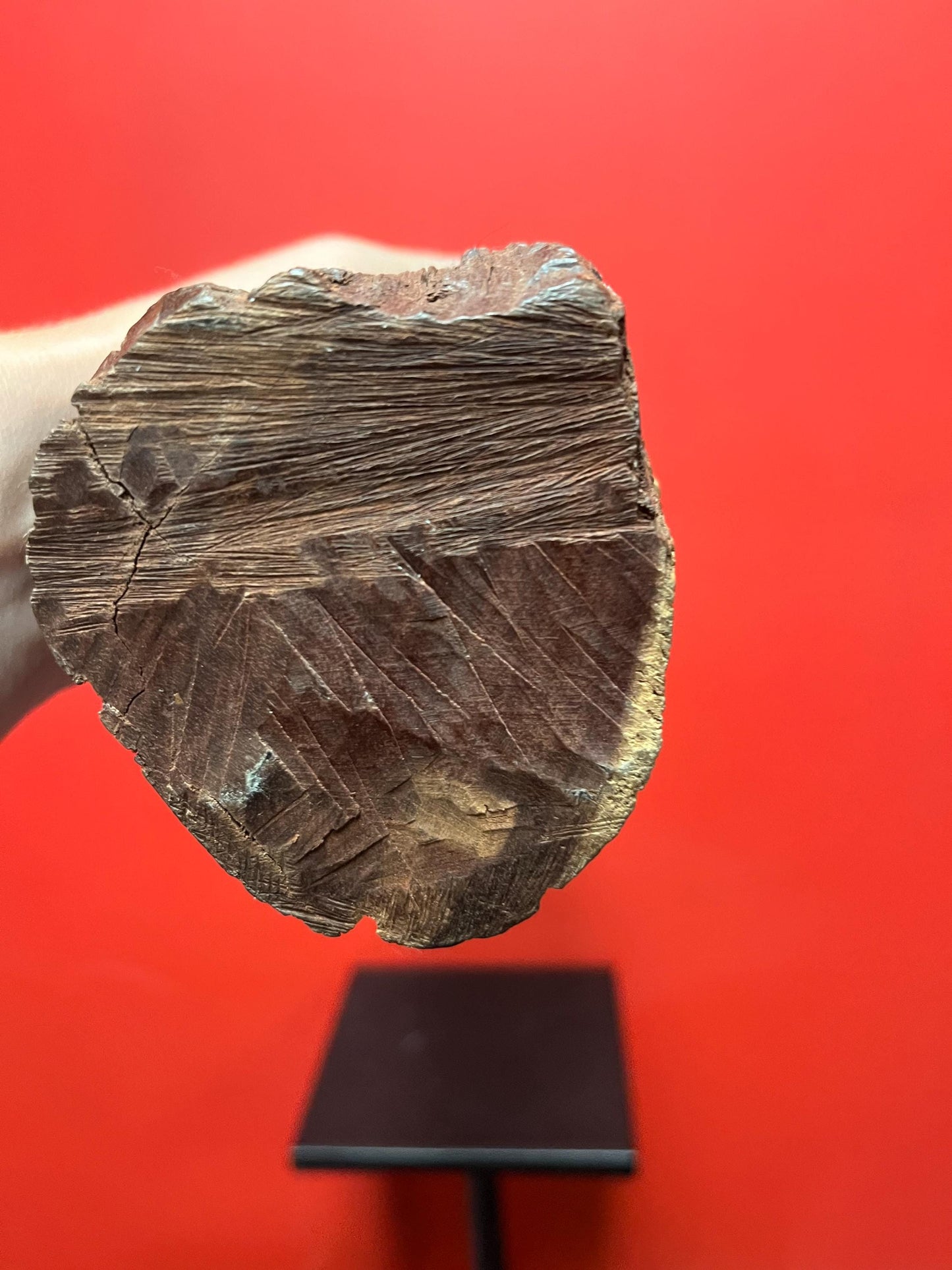 Oldest 17 inch tall handcarved African transformation statue great imagery good condition