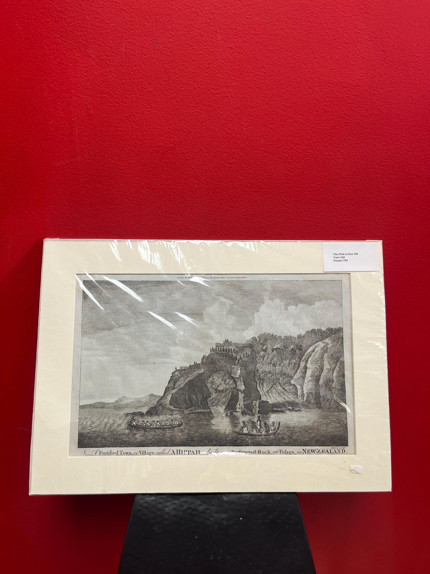 Very rare 17 x 12“ captain Cook journal print authentic and matted ready for frame great gift