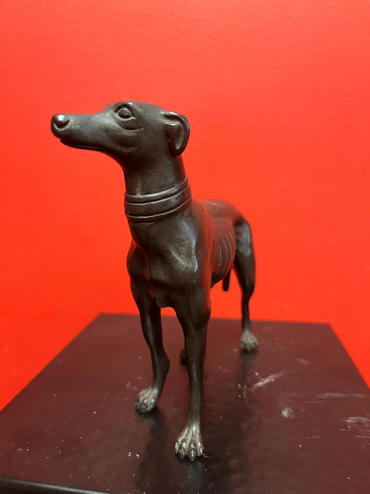 Stunning 8 x 6 high antique well detailed English bronze greyhound statue fabulous bronze greyhound wow