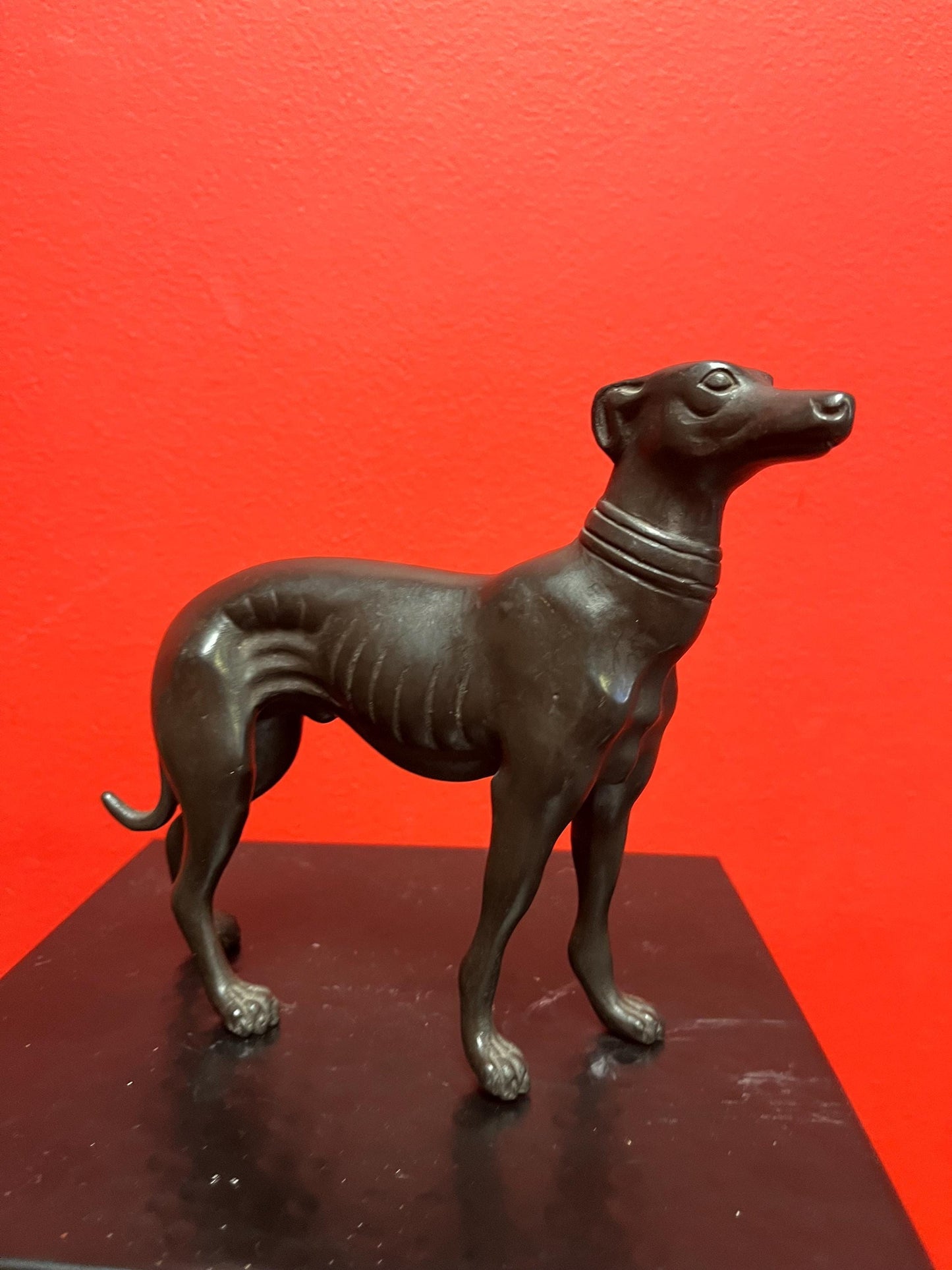 Stunning 8 x 6 high antique well detailed English bronze greyhound statue fabulous bronze greyhound wow