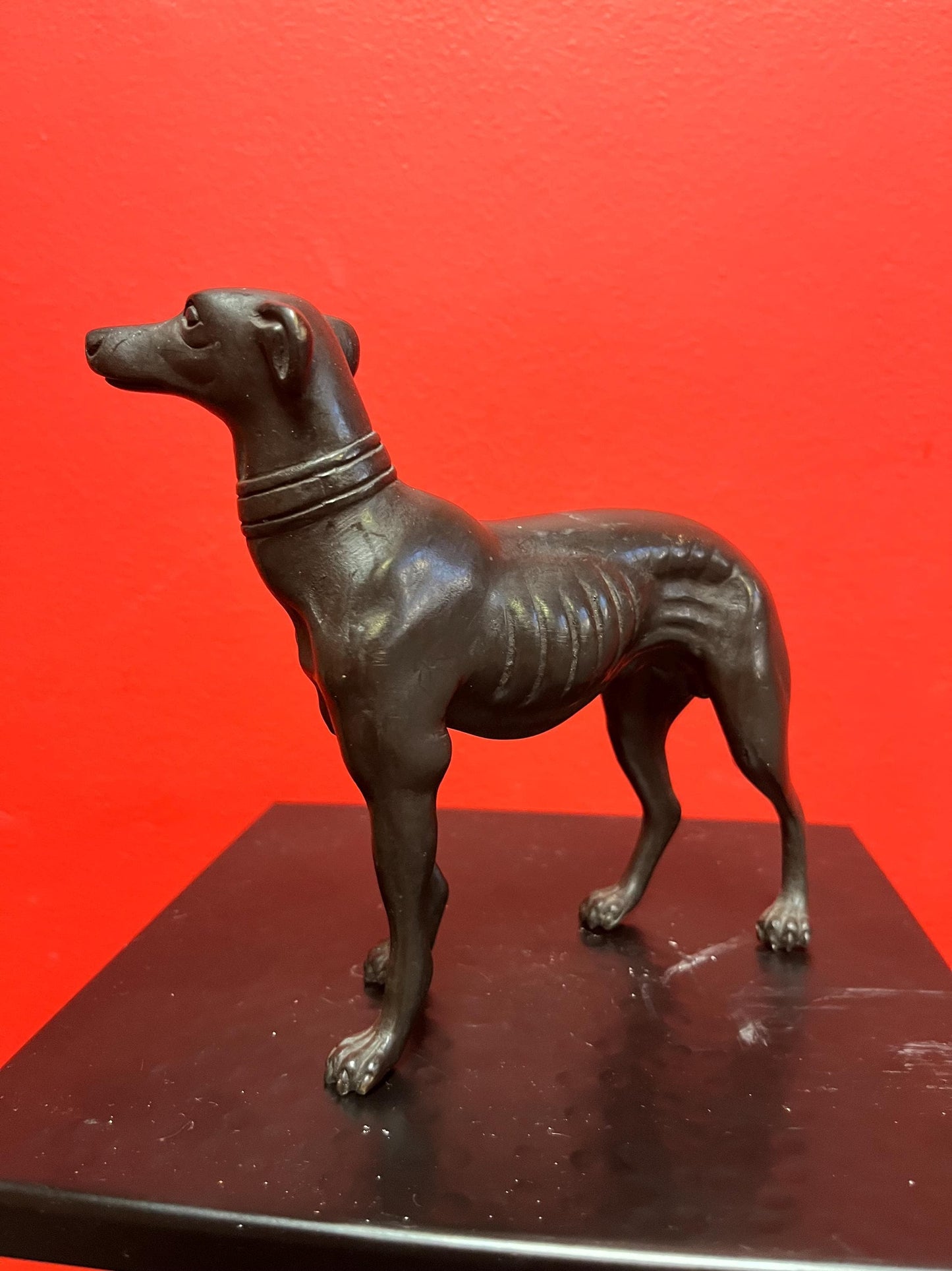 Stunning 8 x 6 high antique well detailed English bronze greyhound statue fabulous bronze greyhound wow