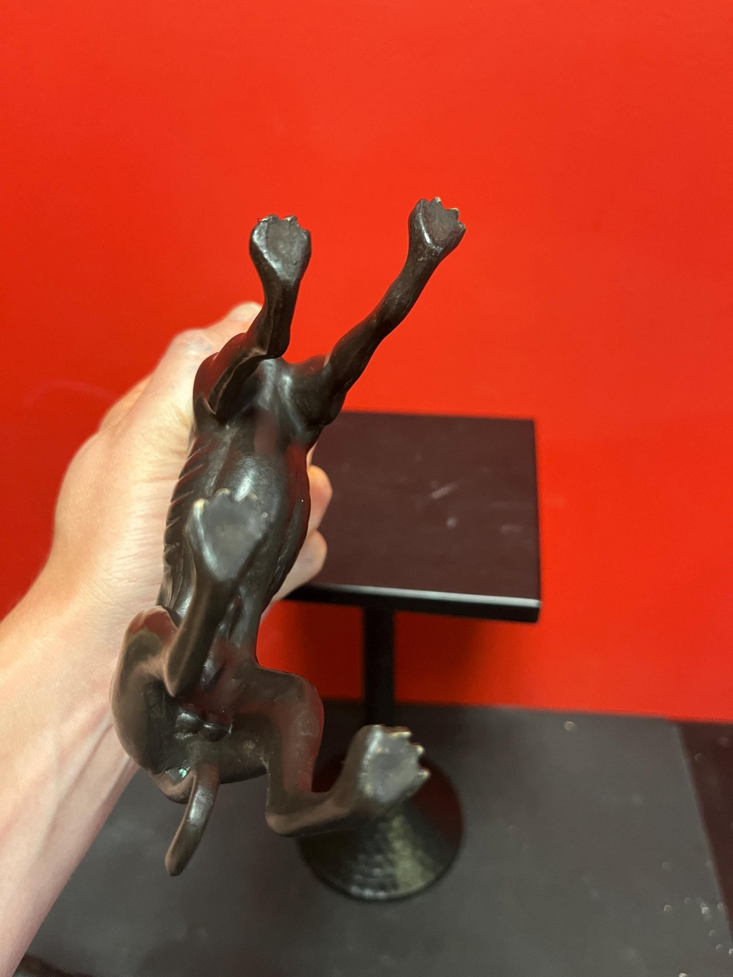 Stunning 8 x 6 high antique well detailed English bronze greyhound statue fabulous bronze greyhound wow